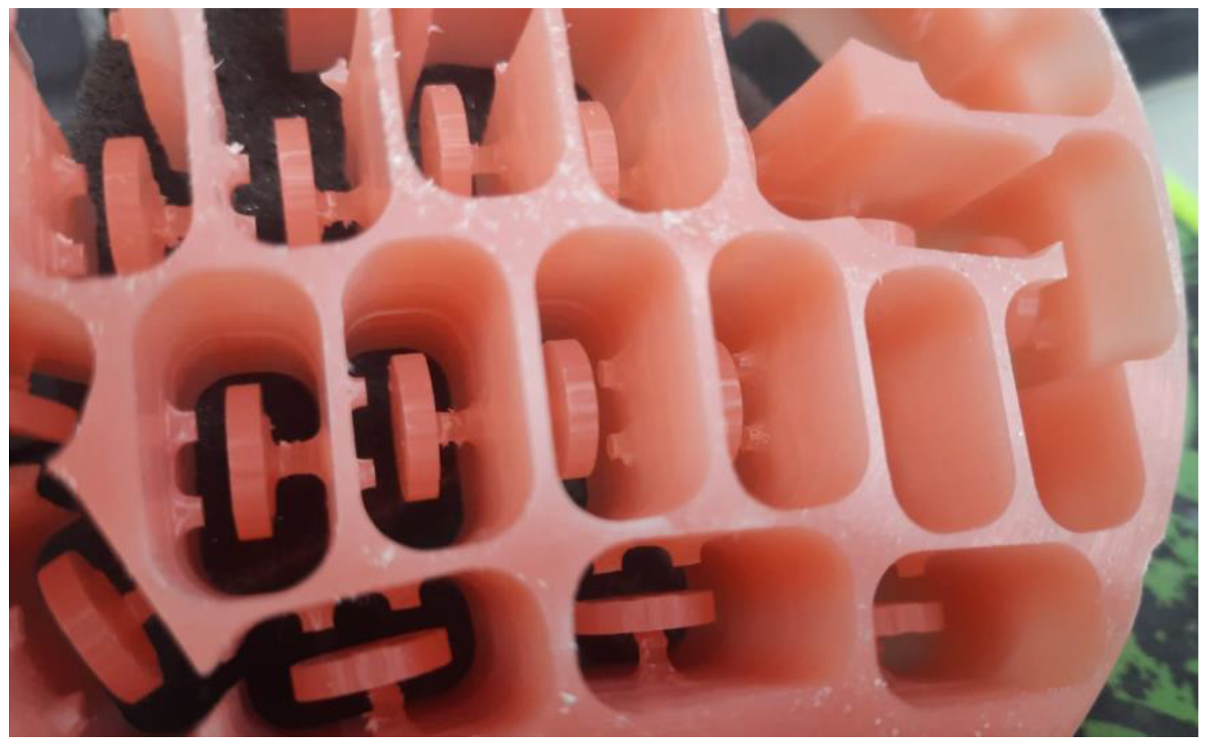 Biomedicines 11 00491 g002