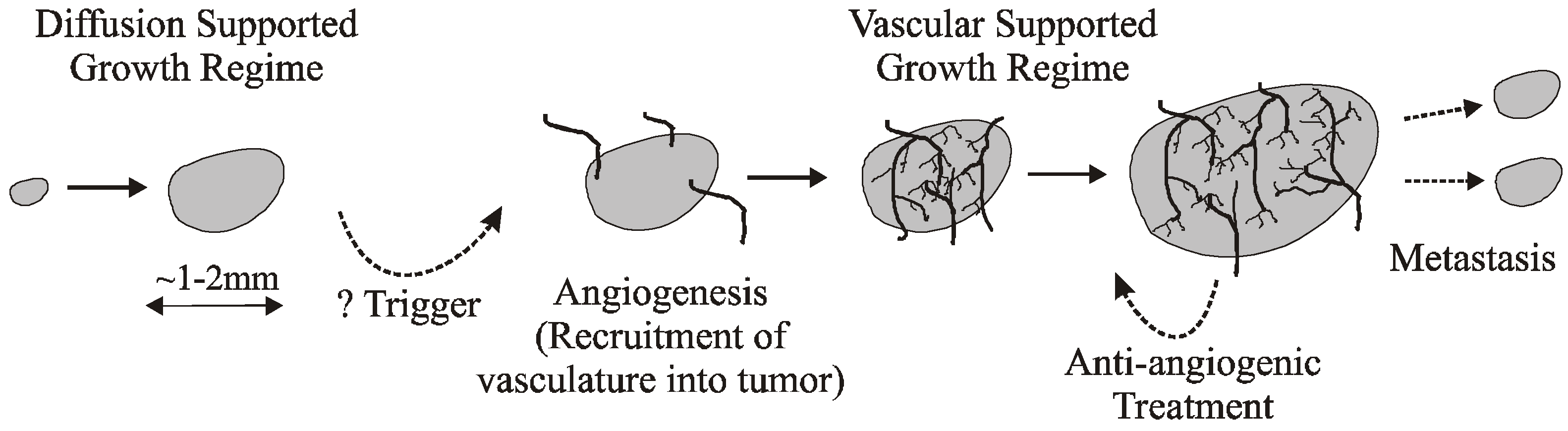 Biomedicines 11 00497 g001