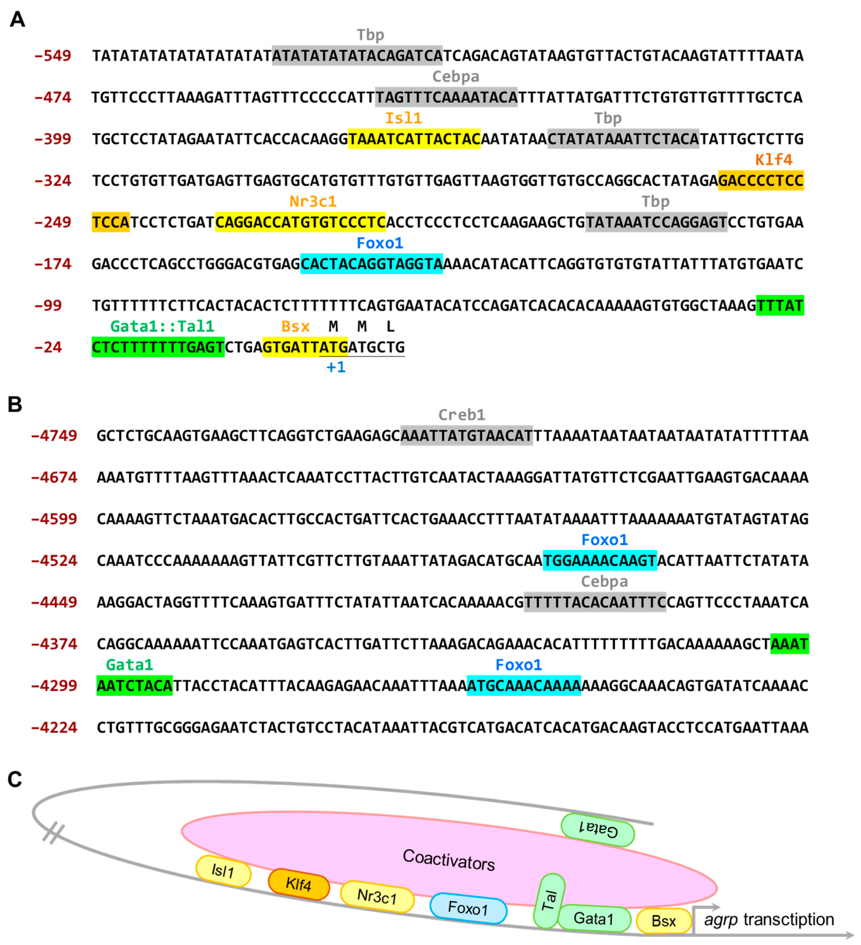 Biomedicines 11 00499 g003 Biomedicines 11 00499 g003