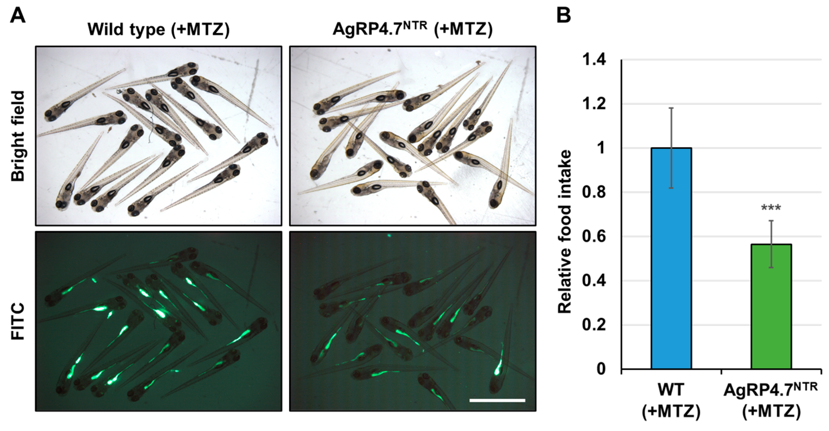 Biomedicines 11 00499 g005 Biomedicines 11 00499 g005