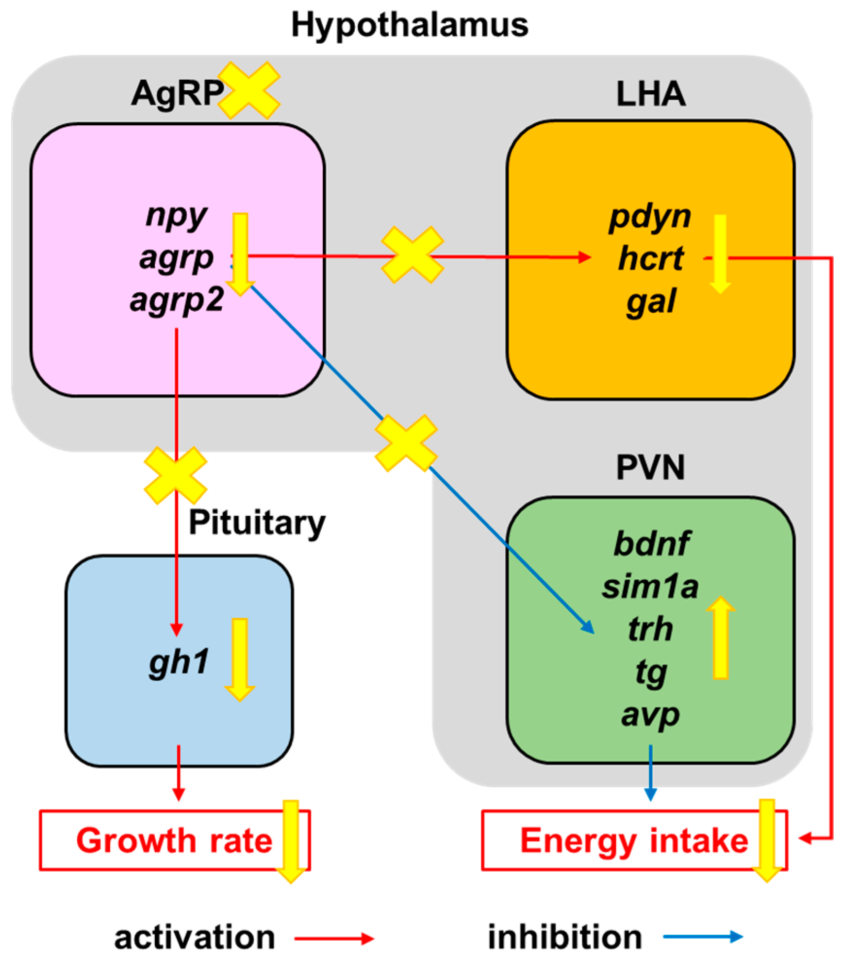 Biomedicines 11 00499 g008 Biomedicines 11 00499 g008