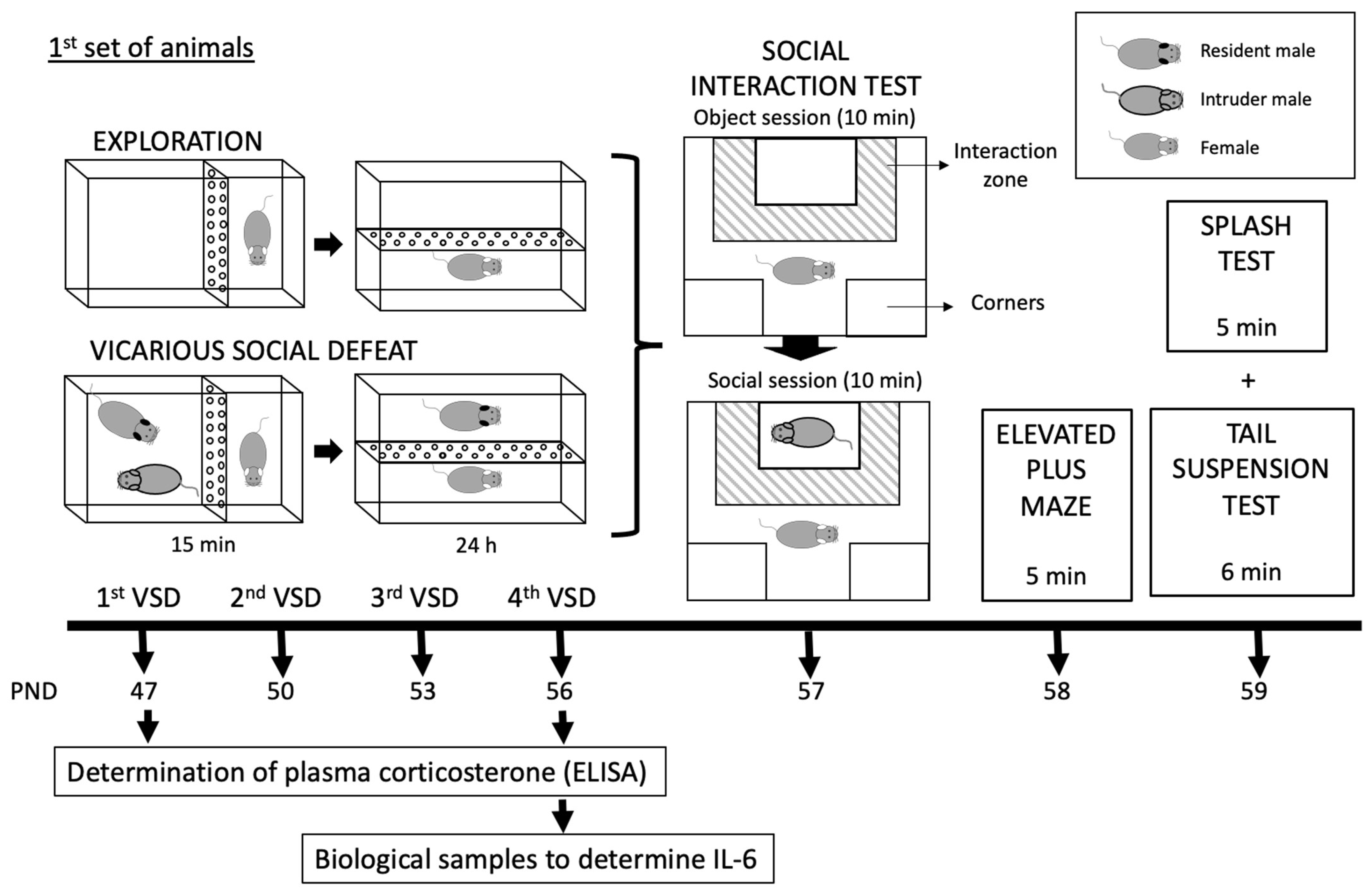 Biomedicines 11 00502 g001a