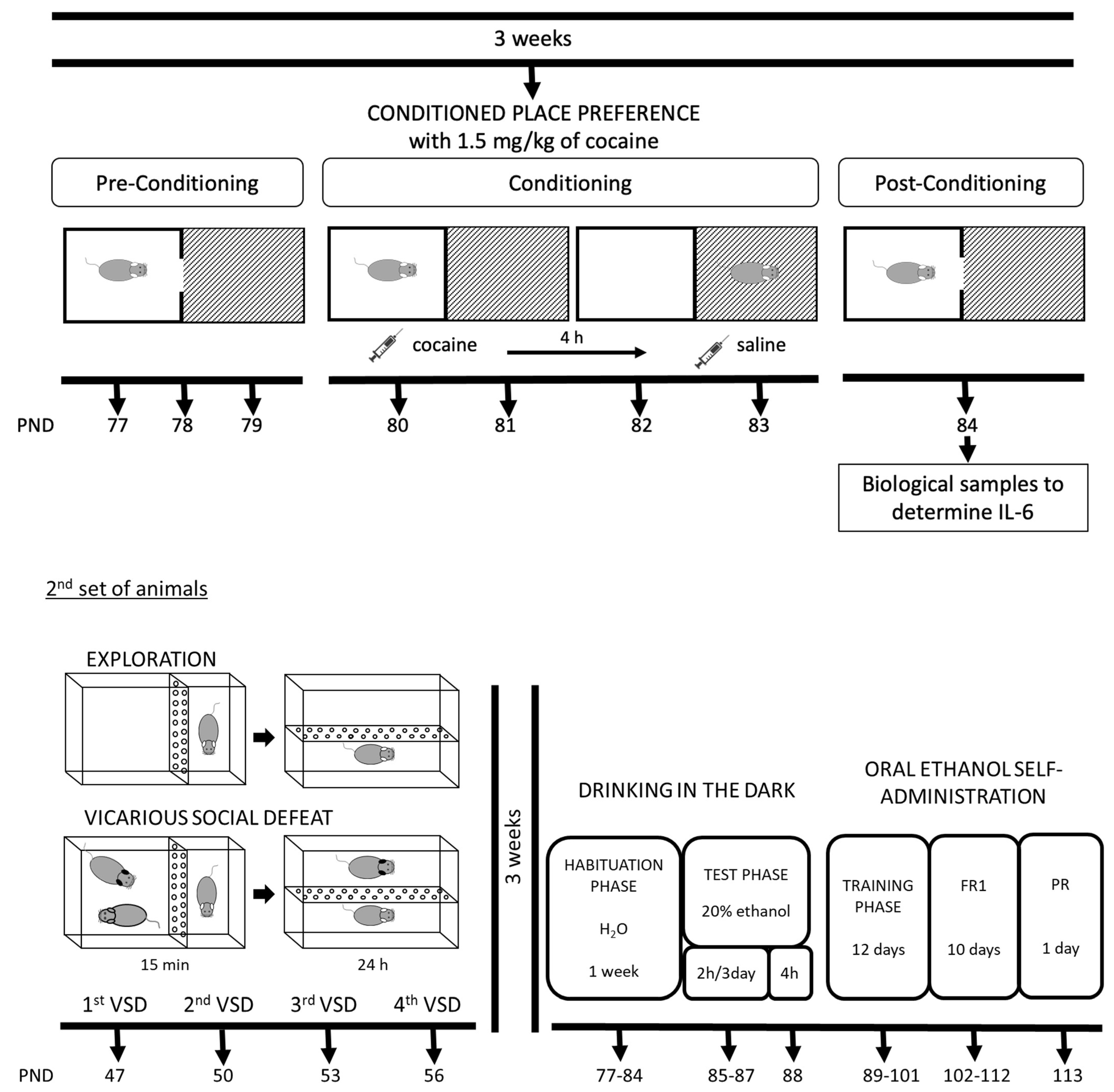 Biomedicines 11 00502 g001b