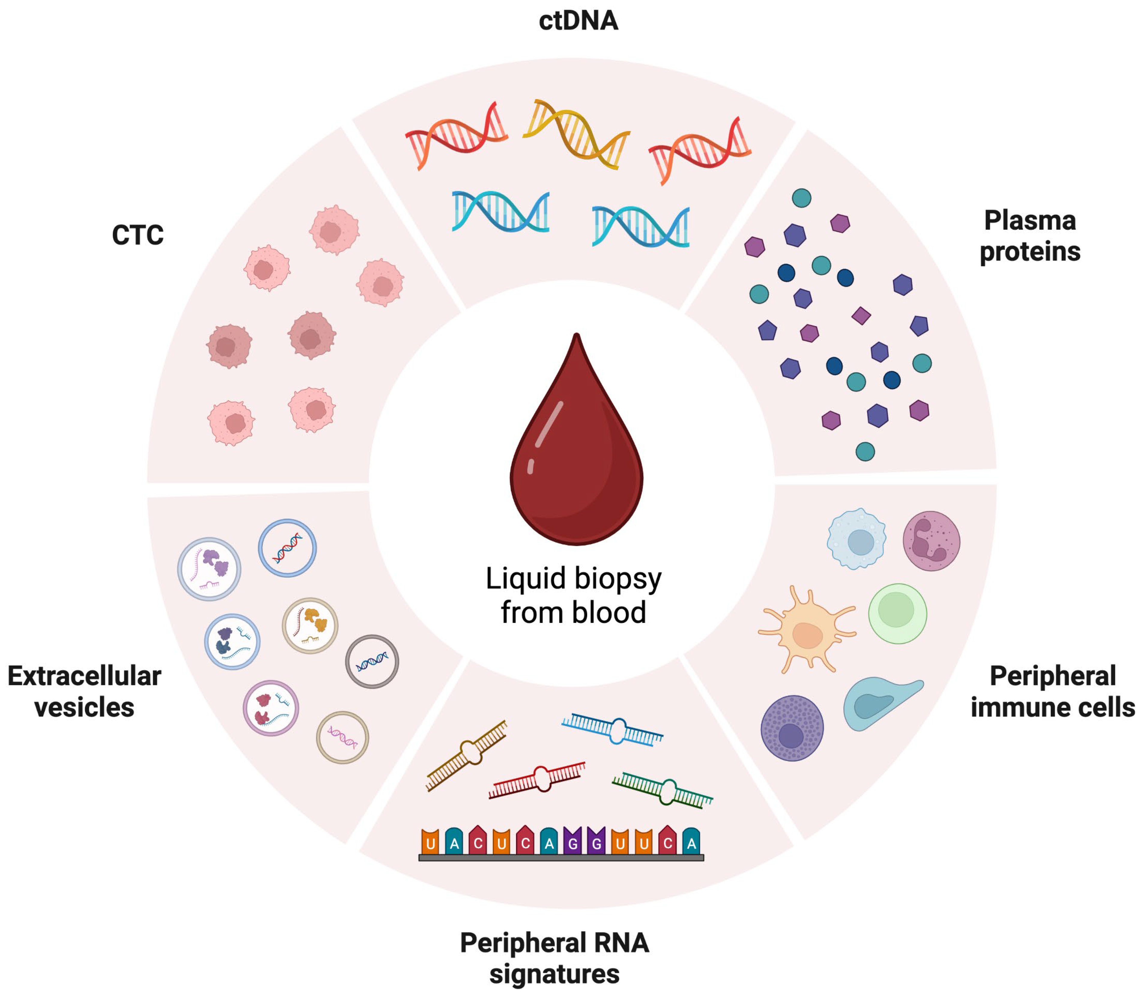 Biomedicines 11 00508 g001 550