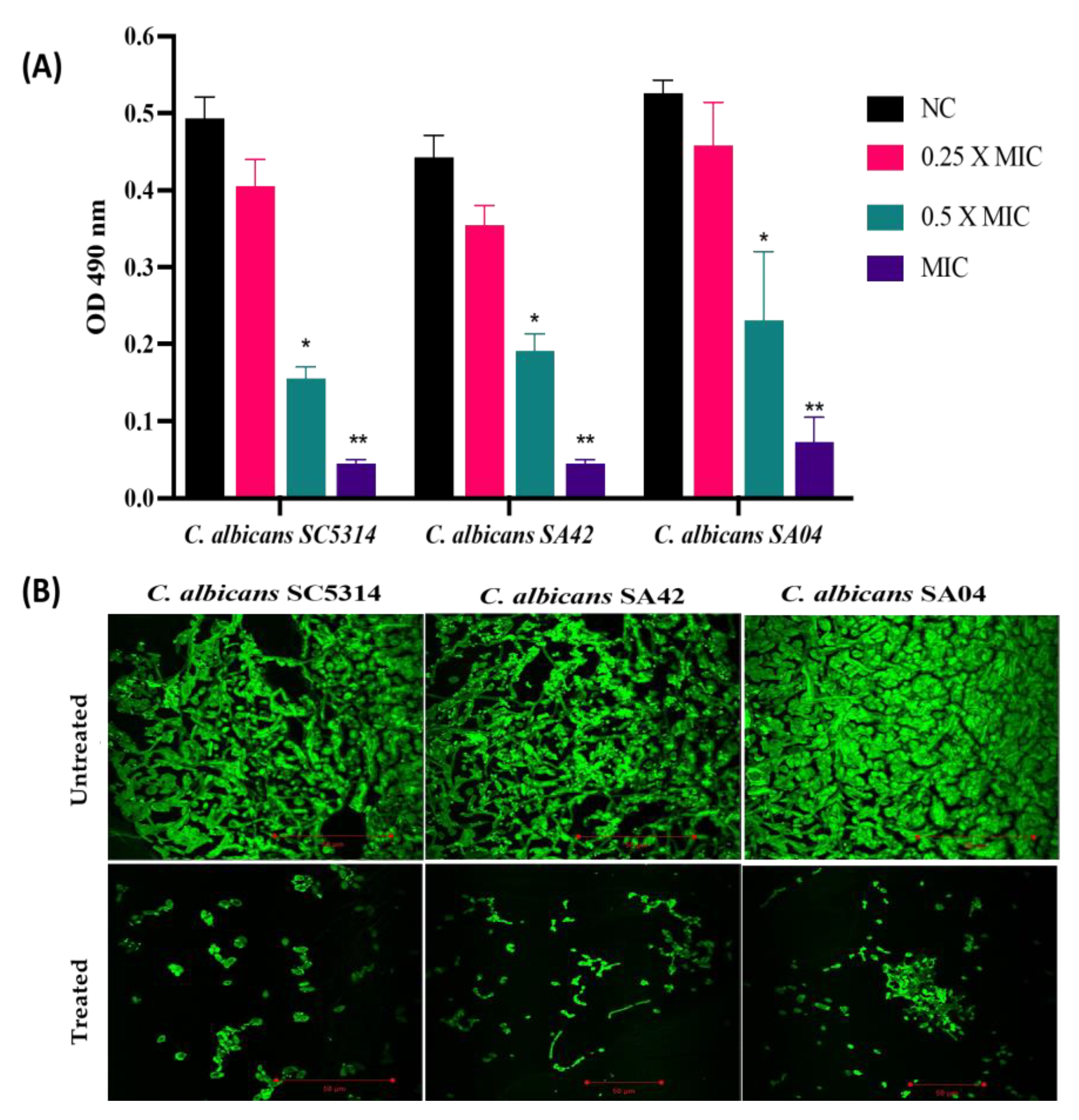 Biomedicines 11 00513 g003
