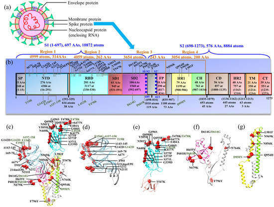 Biomedicines, Free Full-Text