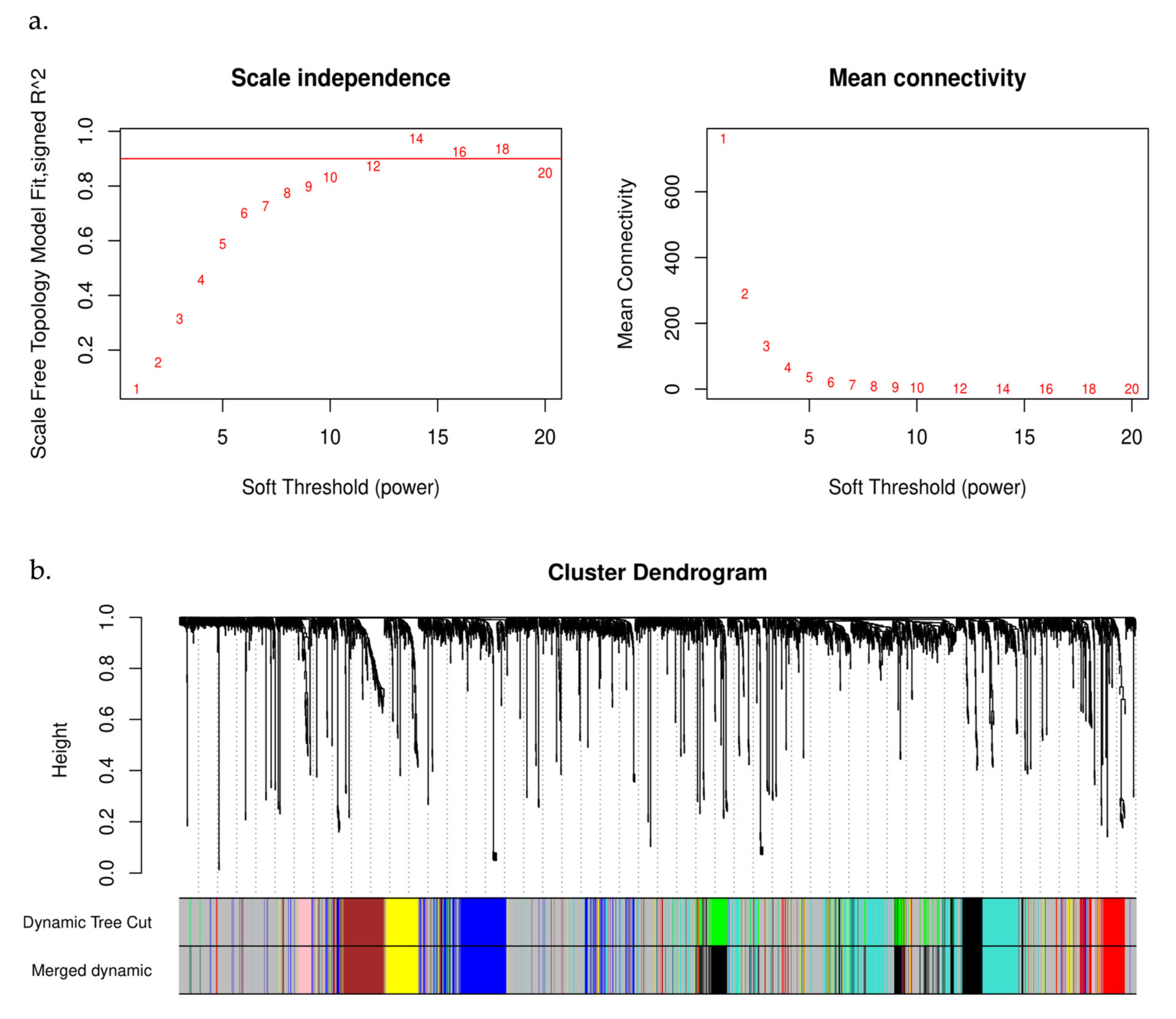 Biomedicines 11 00518 g002 Biomedicines 11 00518 g002
