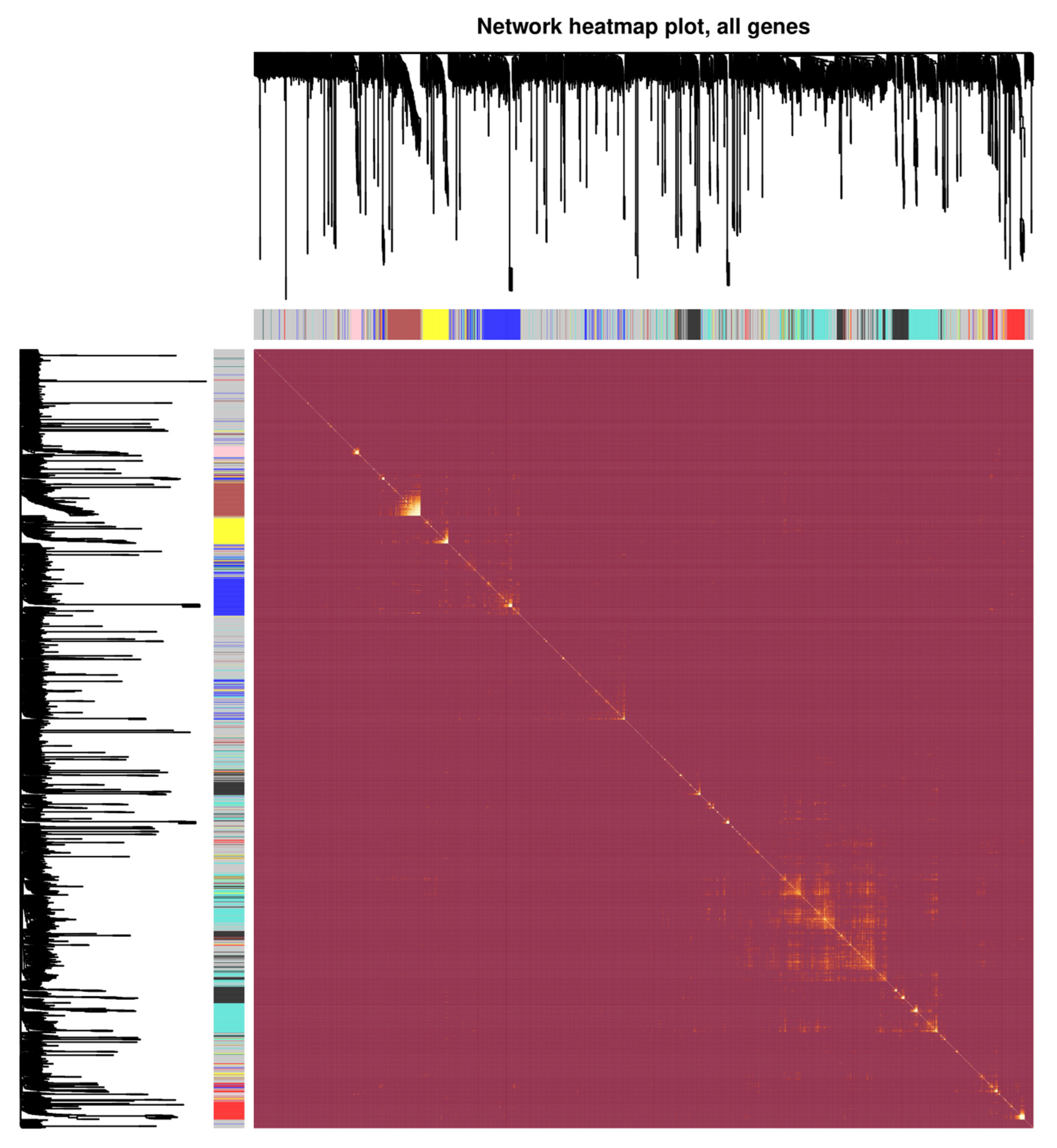 Biomedicines 11 00518 g003 Biomedicines 11 00518 g003