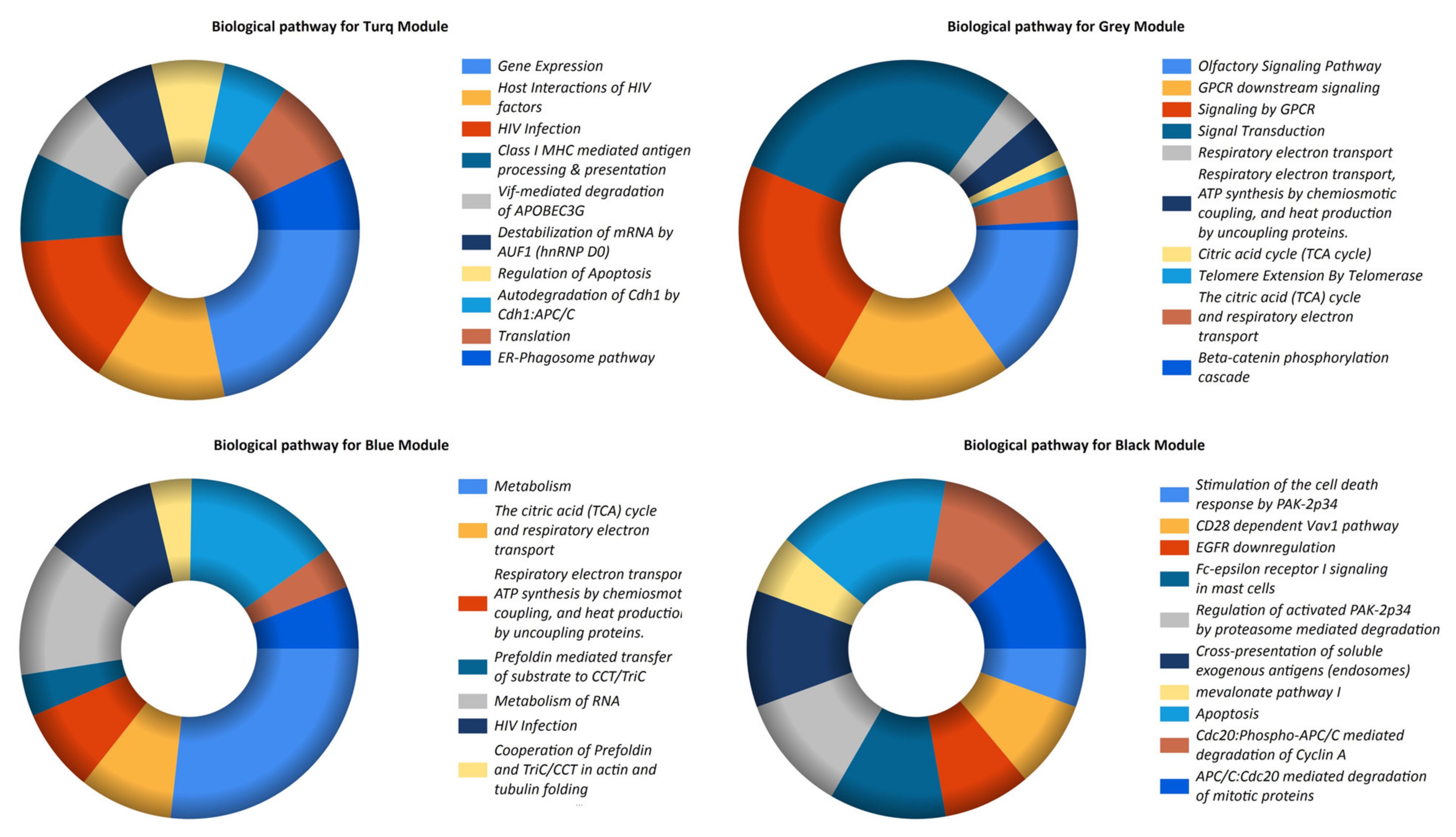 Biomedicines 11 00518 g004 Biomedicines 11 00518 g004
