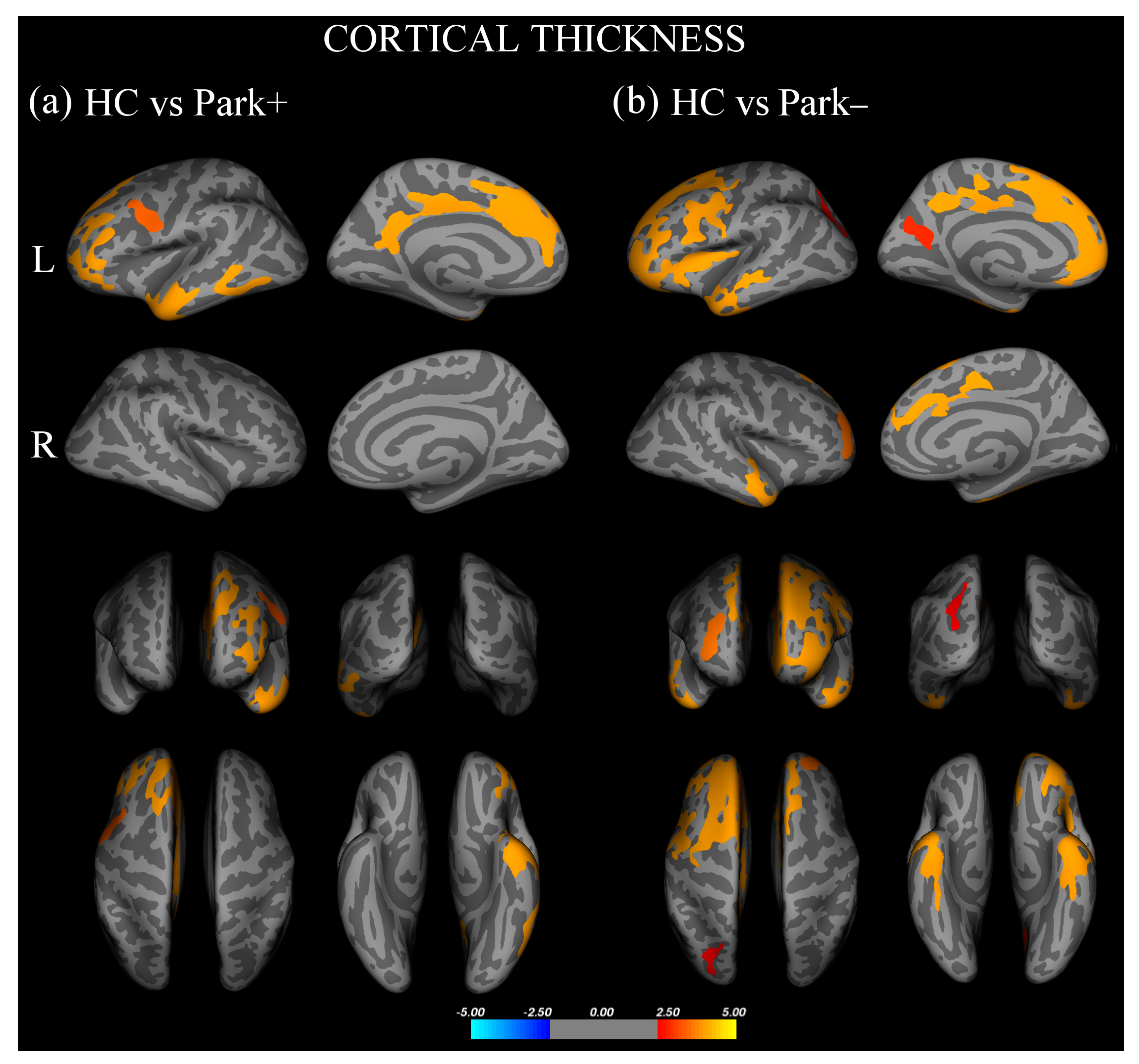 Biomedicines 11 00522 g001