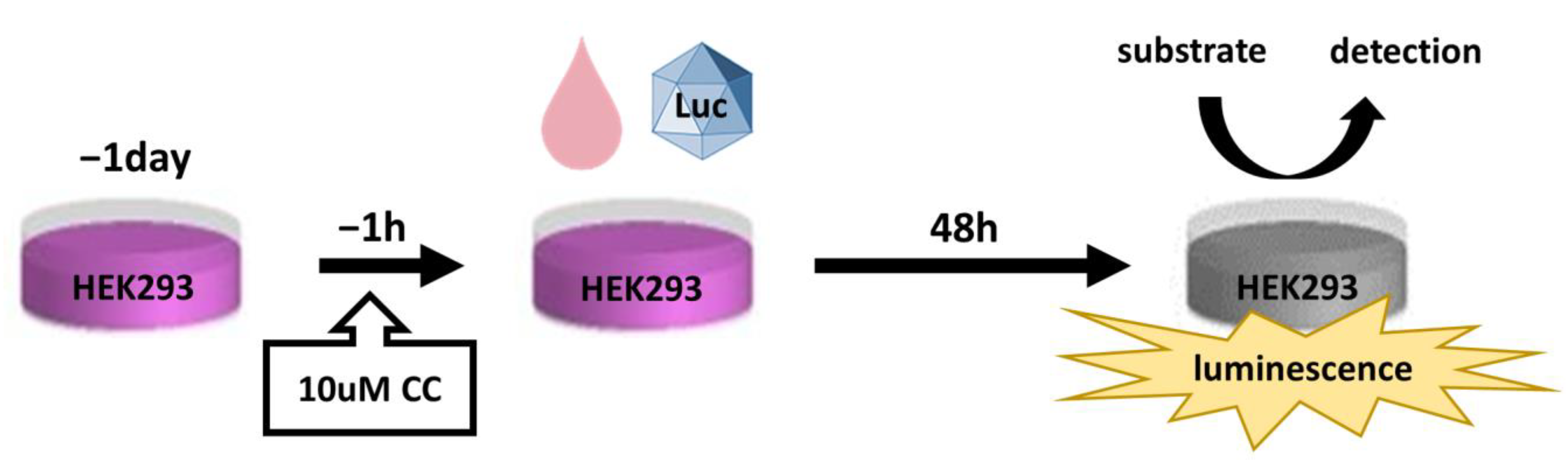 Biomedicines 11 00523 g001 Biomedicines 11 00523 g001