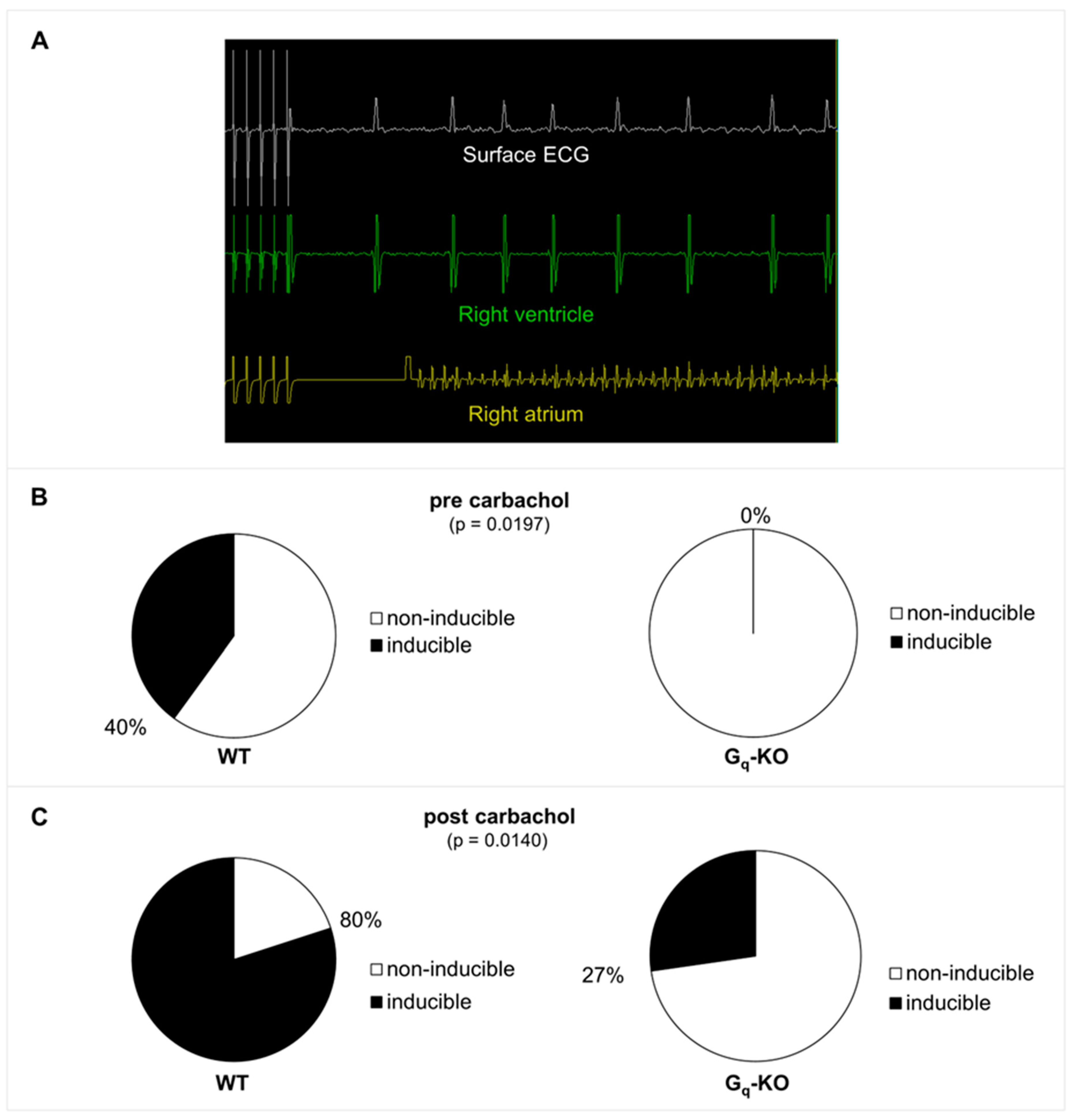 Biomedicines 11 00526 g002 Biomedicines 11 00526 g002