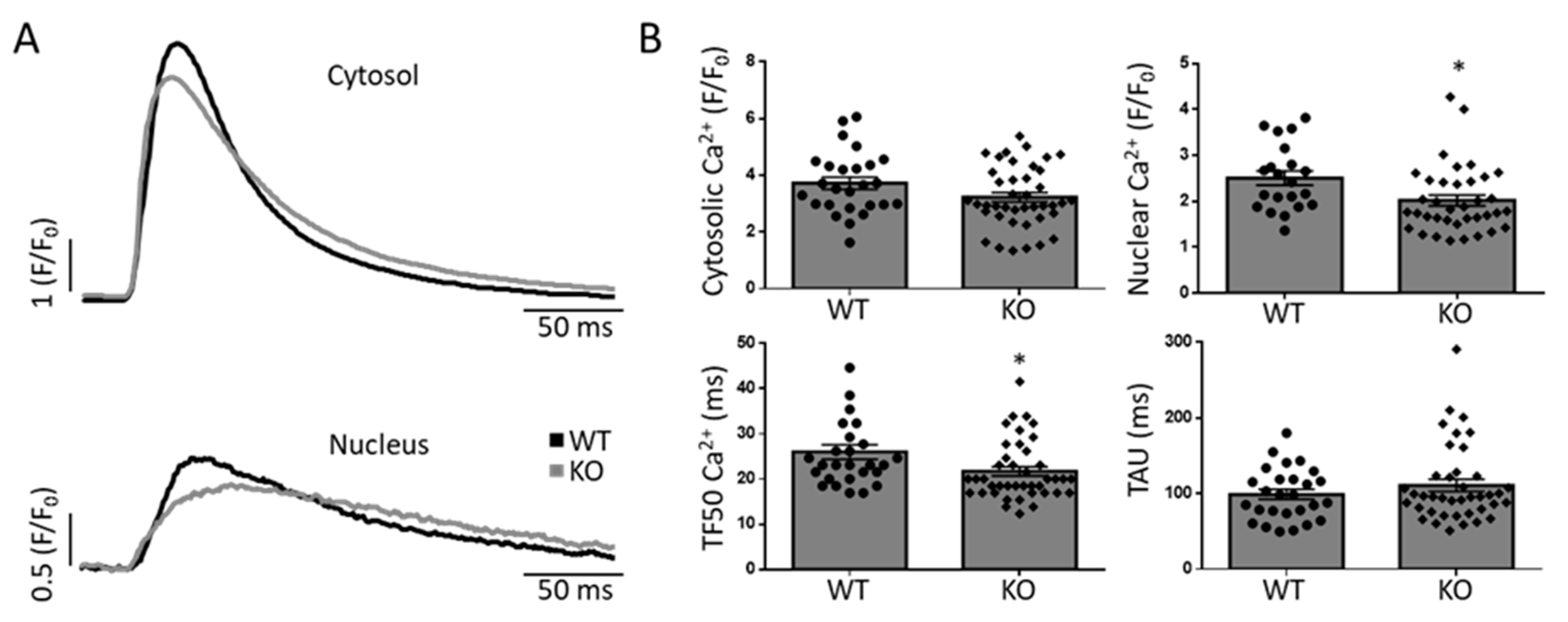 Biomedicines 11 00526 g003 Biomedicines 11 00526 g003