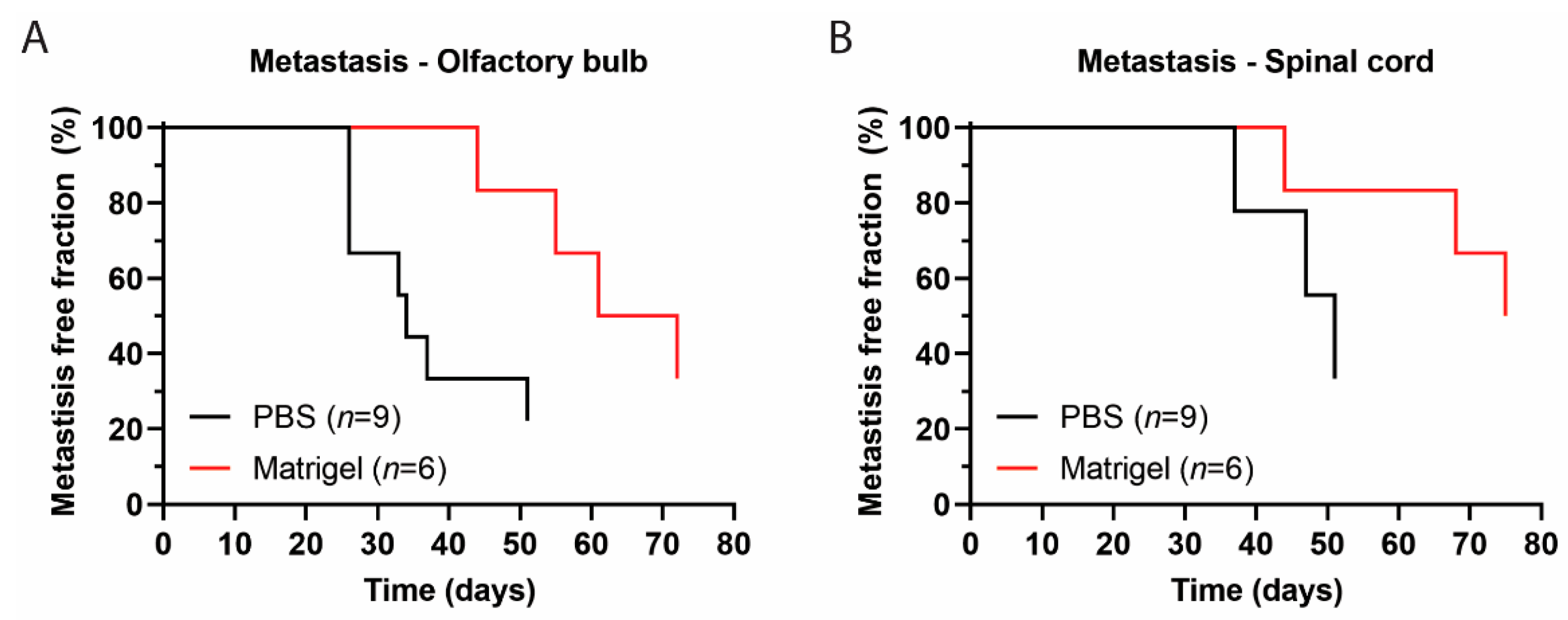 Biomedicines 11 00527 g003 Biomedicines 11 00527 g003