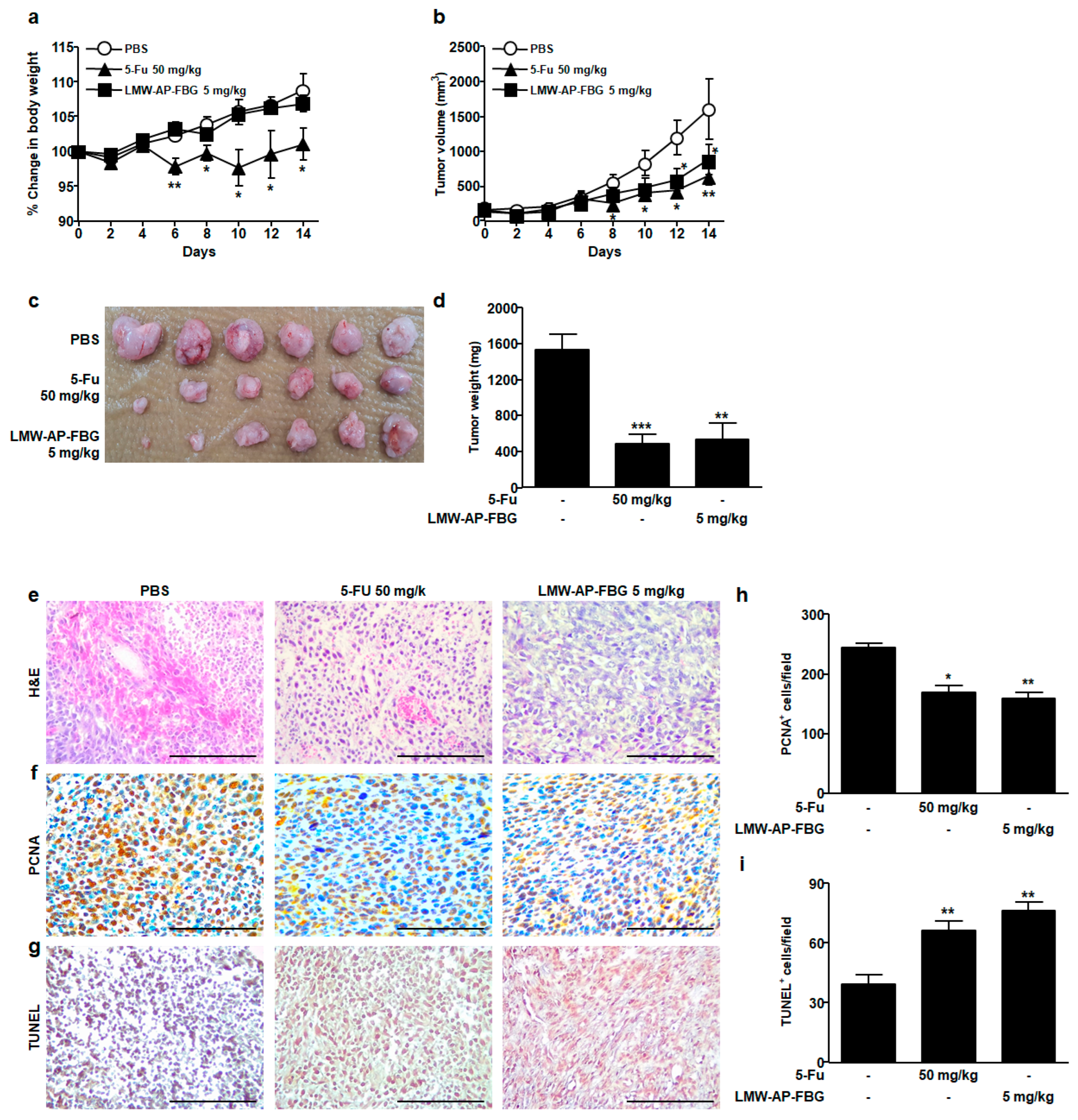 Biomedicines 11 00529 g001 Biomedicines 11 00529 g001