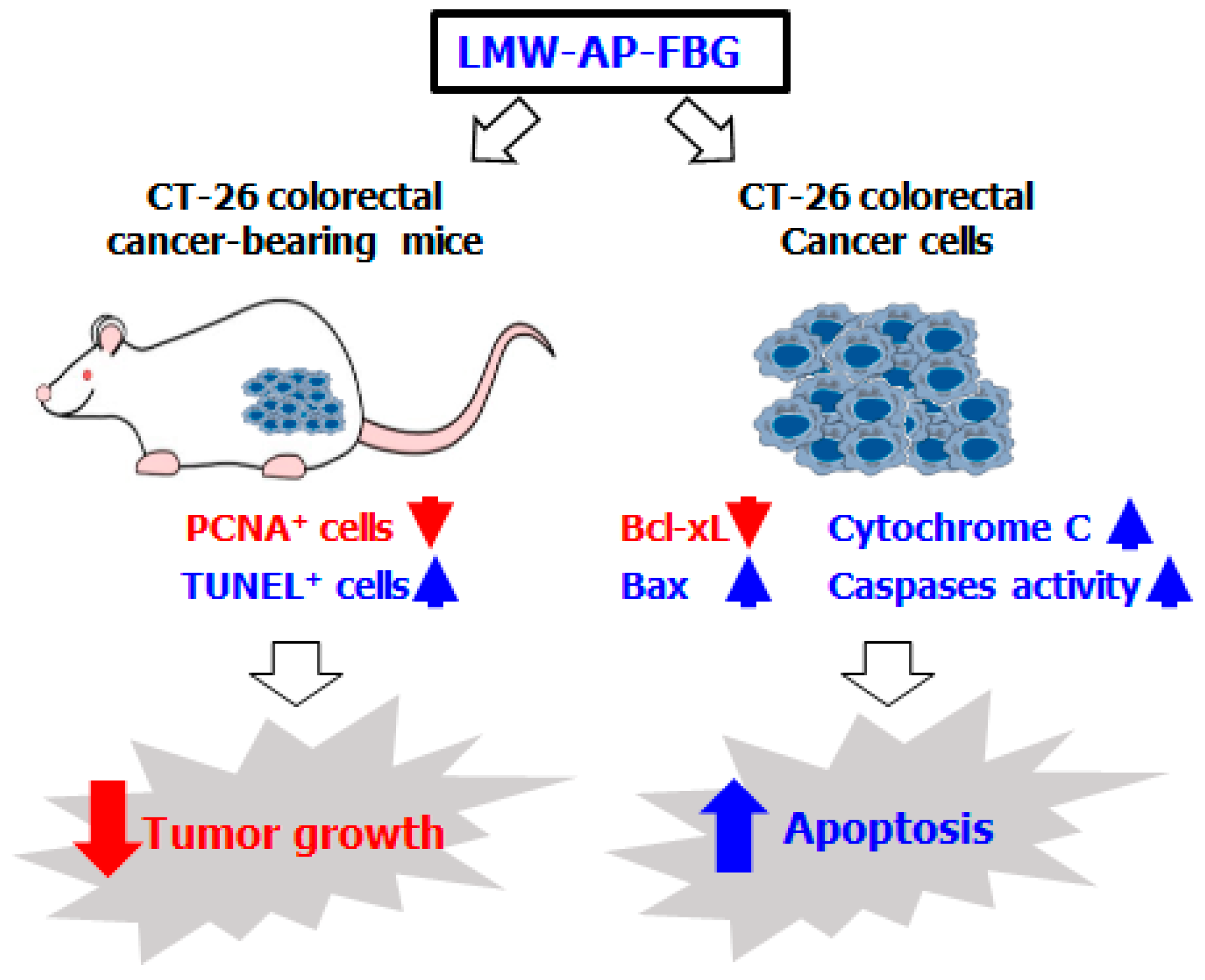Biomedicines 11 00529 g005 Biomedicines 11 00529 g005