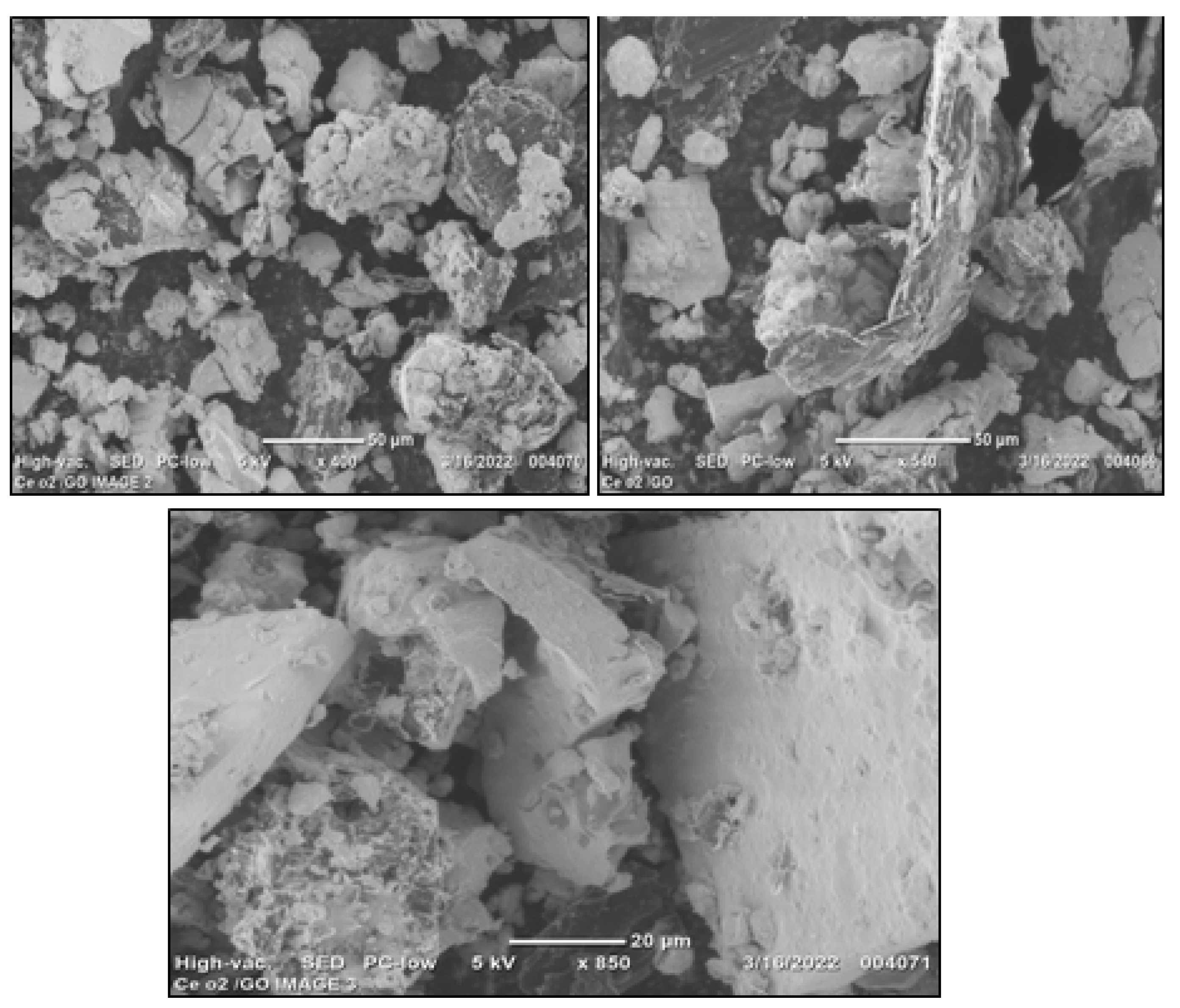 Biomedicines 11 00531 g003