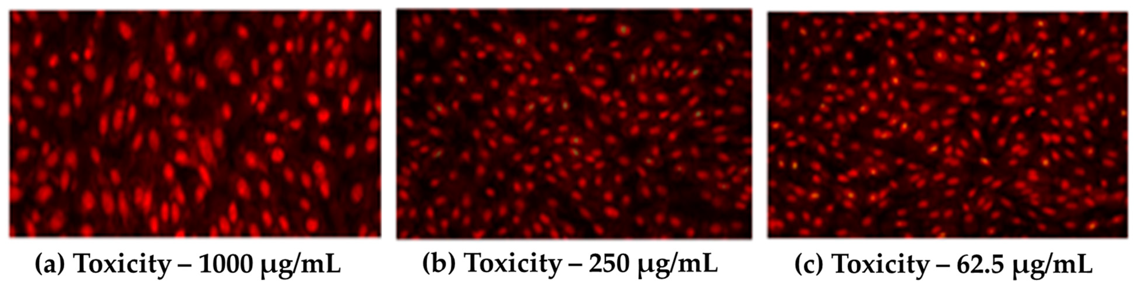 Biomedicines 11 00531 g010