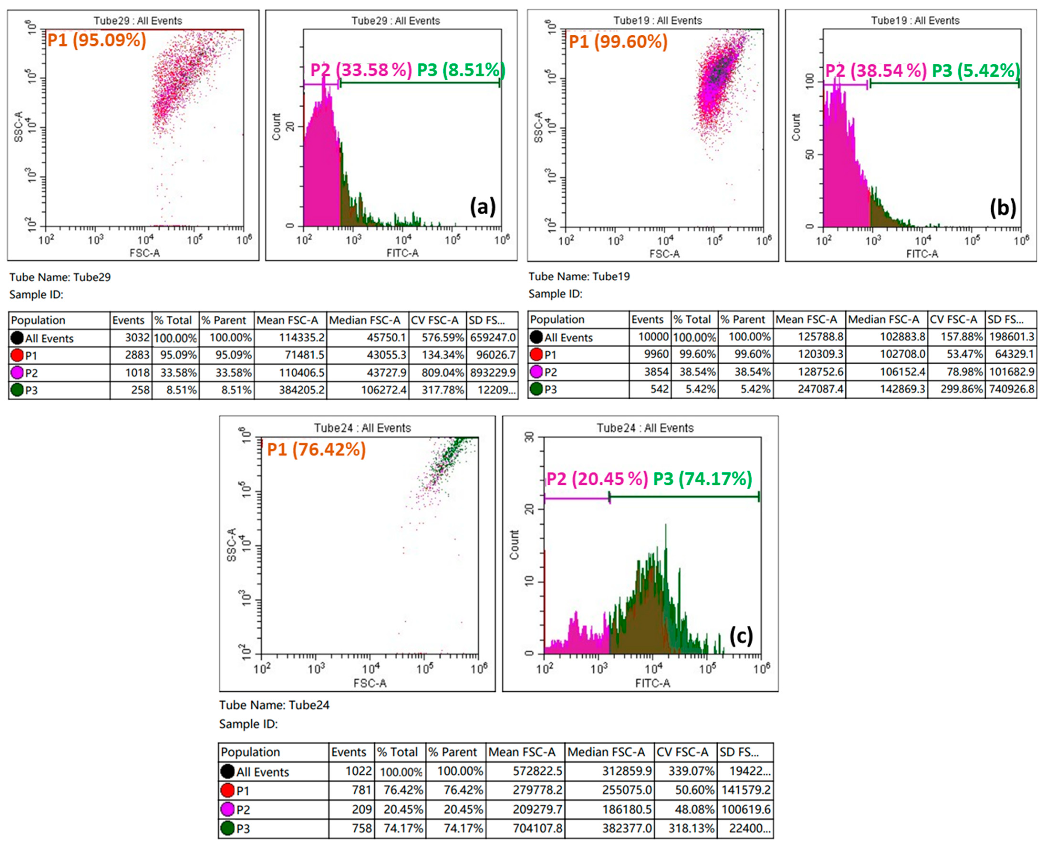 Biomedicines 11 00531 g011