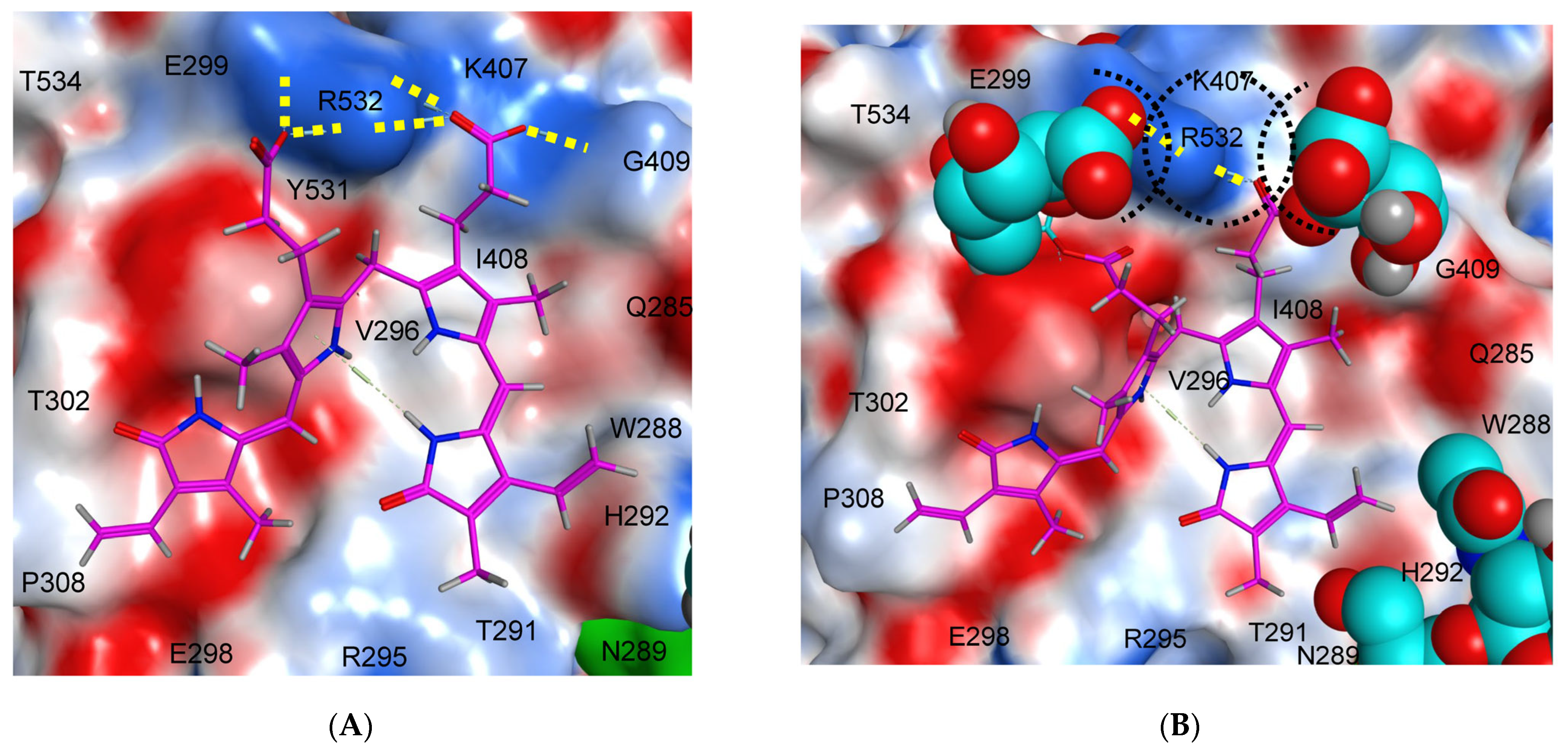 Biomedicines 11 00534 g005 Biomedicines 11 00534 g005