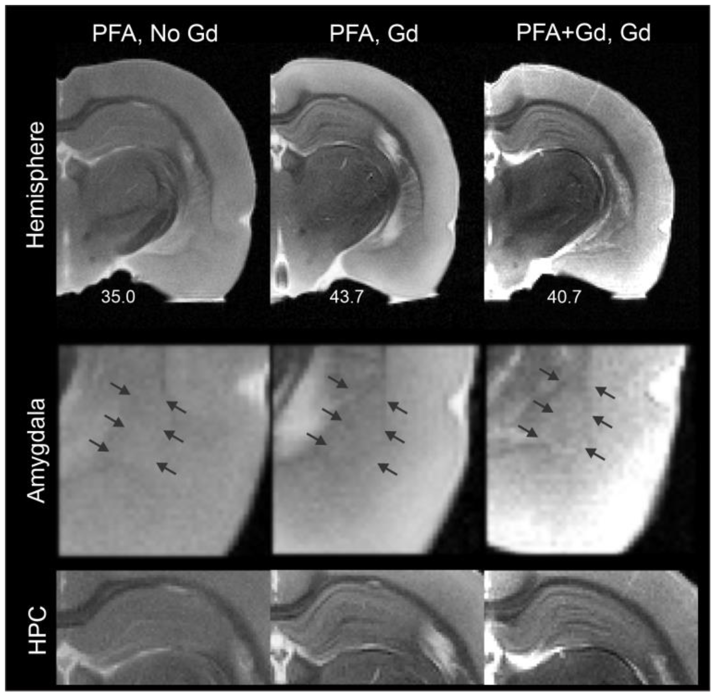 Biomedicines 11 00535 g002 Biomedicines 11 00535 g002