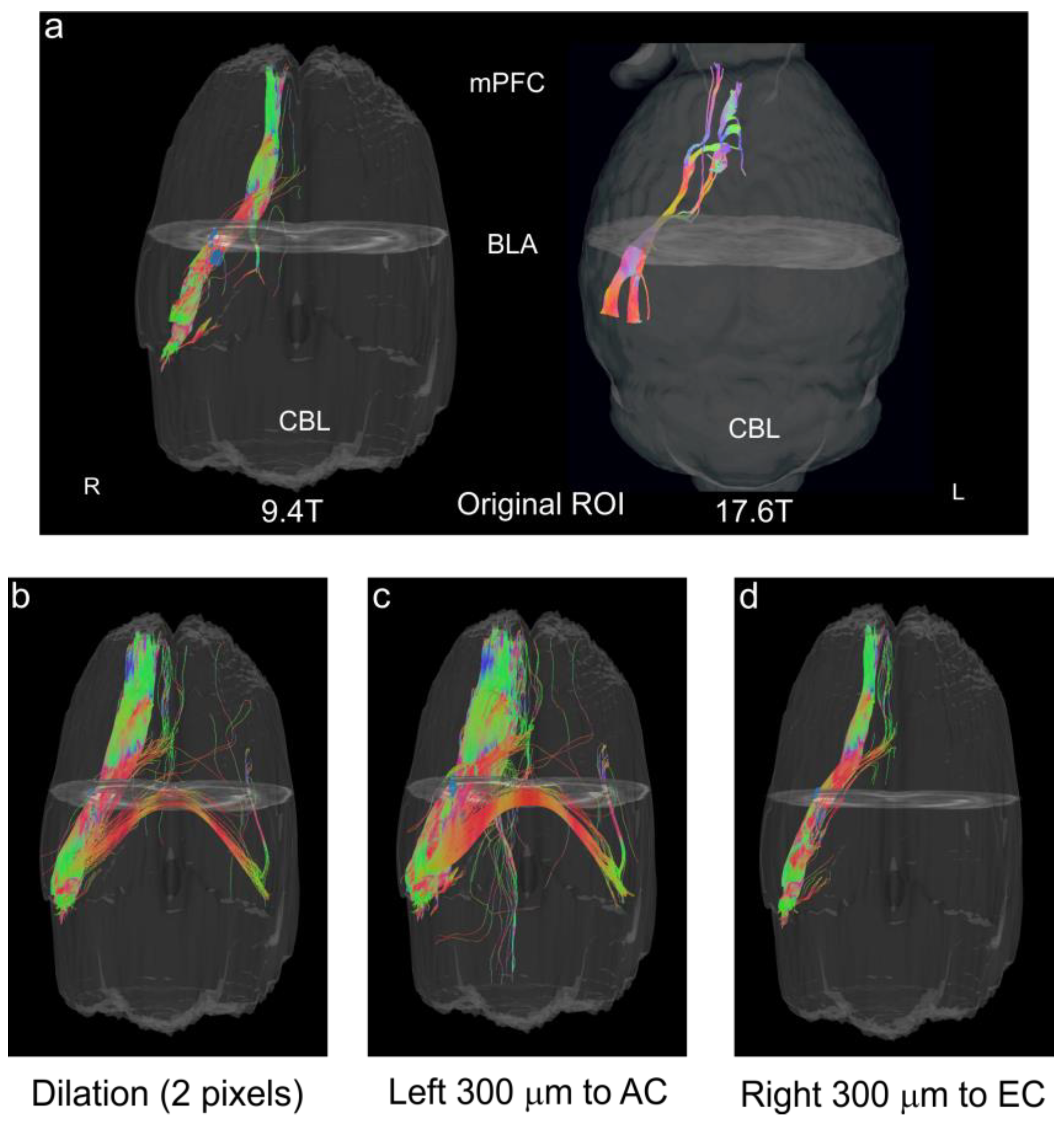 Biomedicines 11 00535 g008 Biomedicines 11 00535 g008