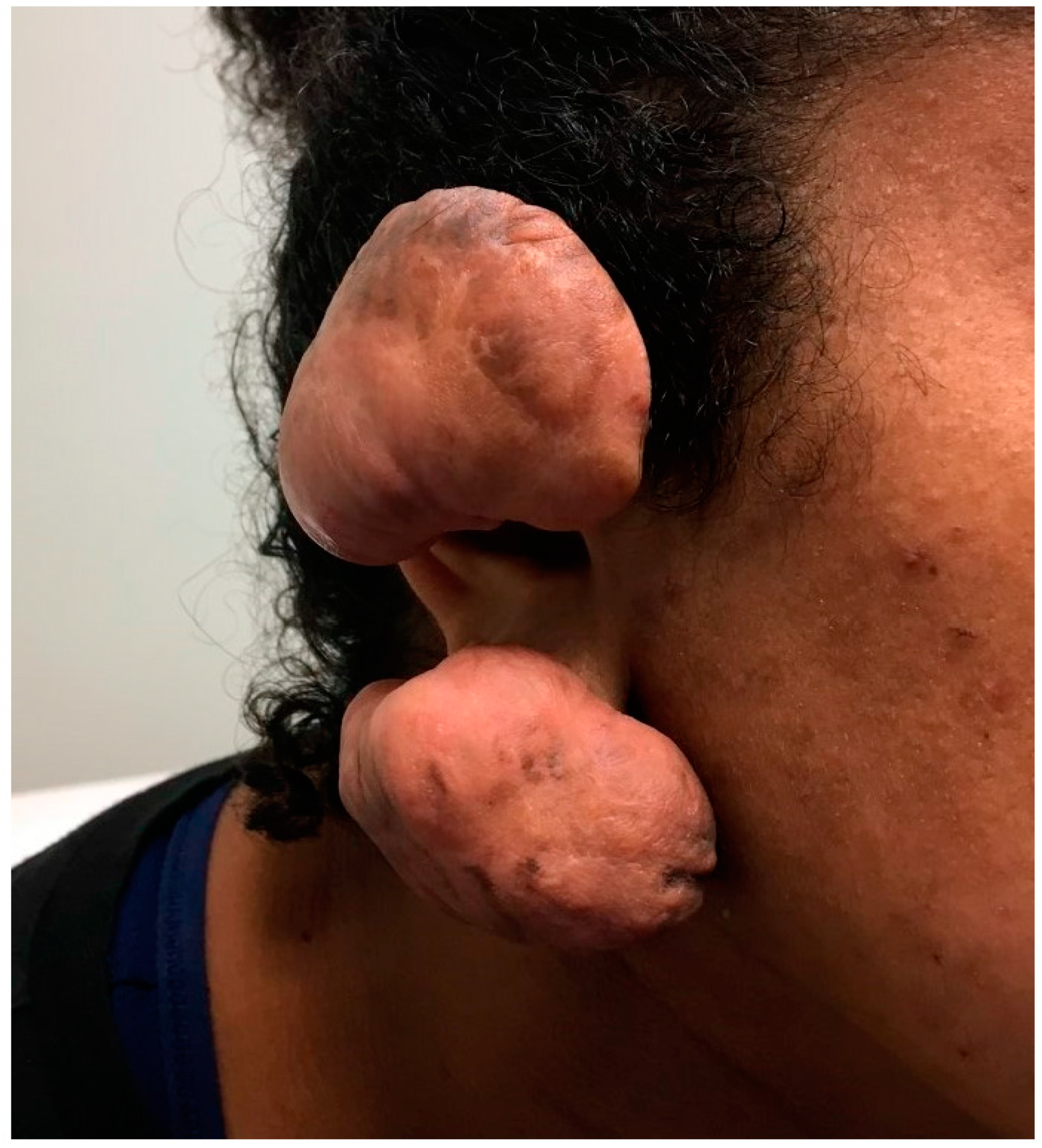 Biomedicines 11 00537 g001 550