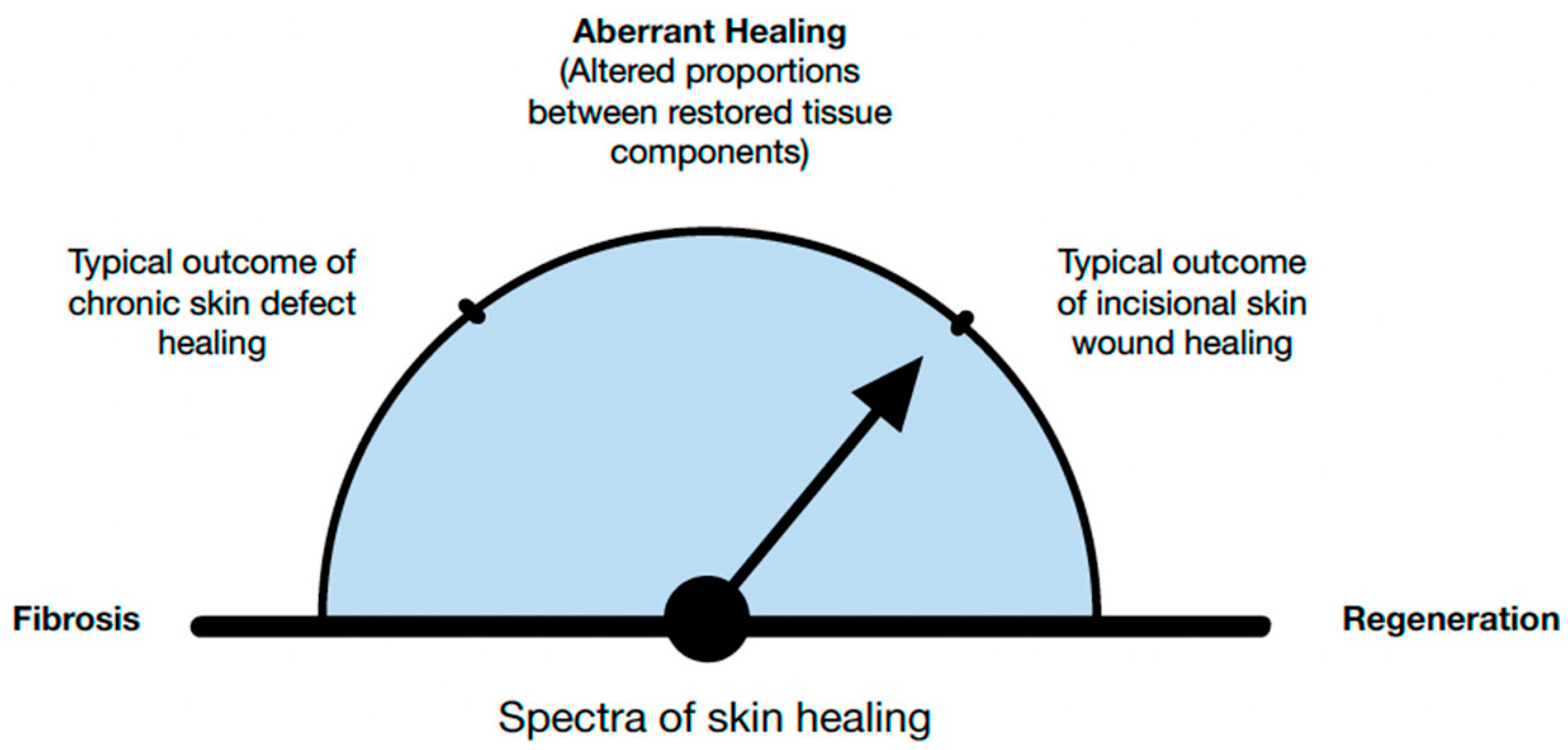 Biomedicines 11 00537 g004 550