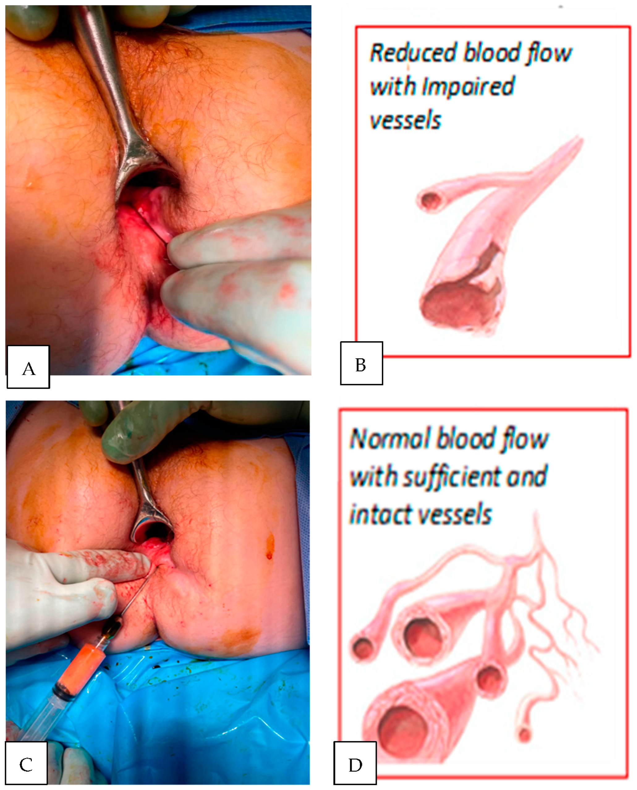 Biomedicines 11 00537 g005 550