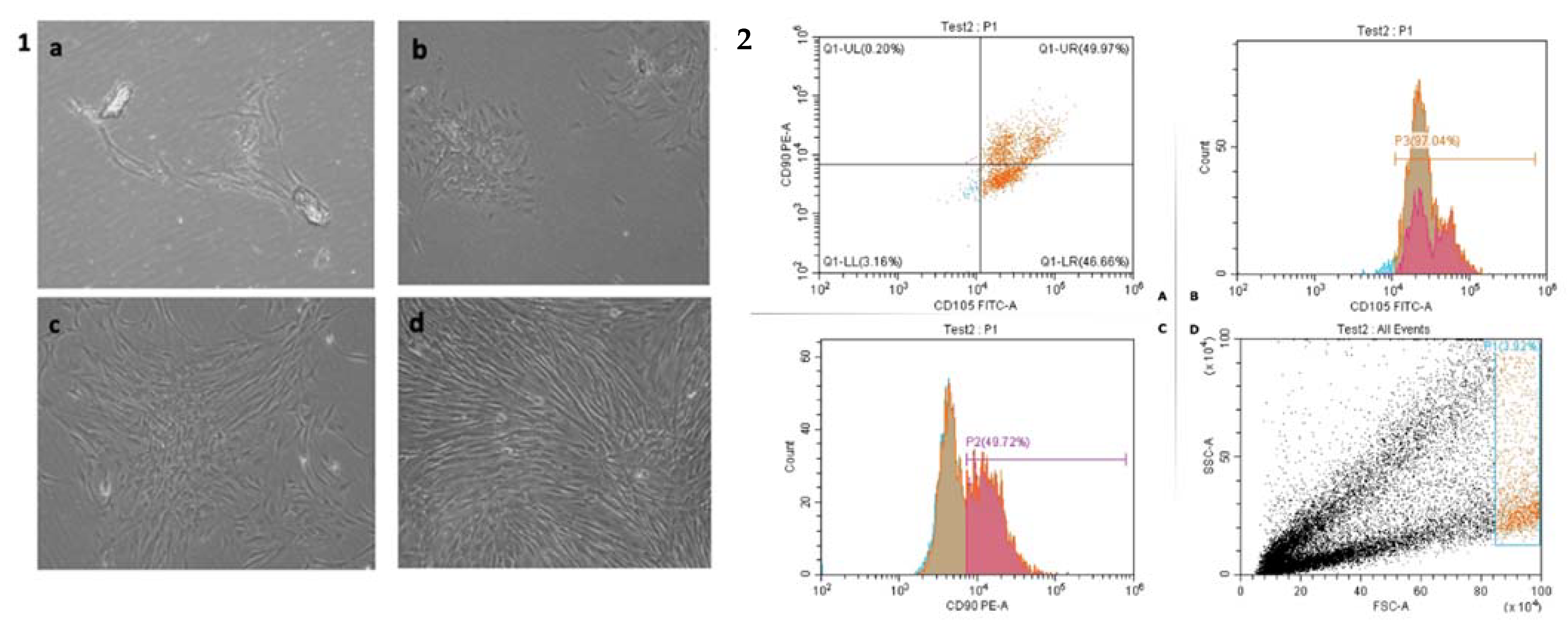 Biomedicines 11 00542 g001 Biomedicines 11 00542 g001