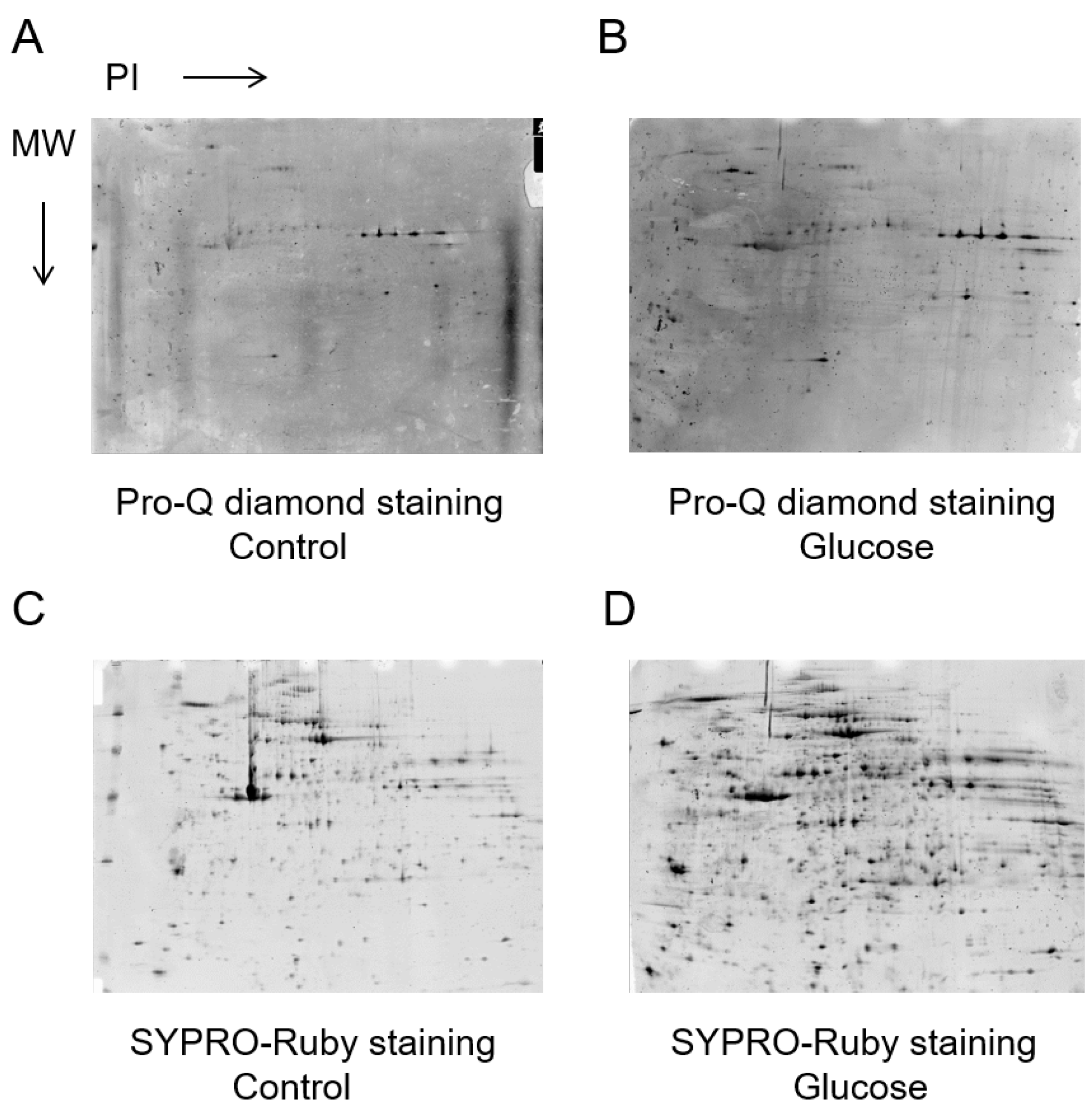 Biomedicines 11 00543 g002 Biomedicines 11 00543 g002