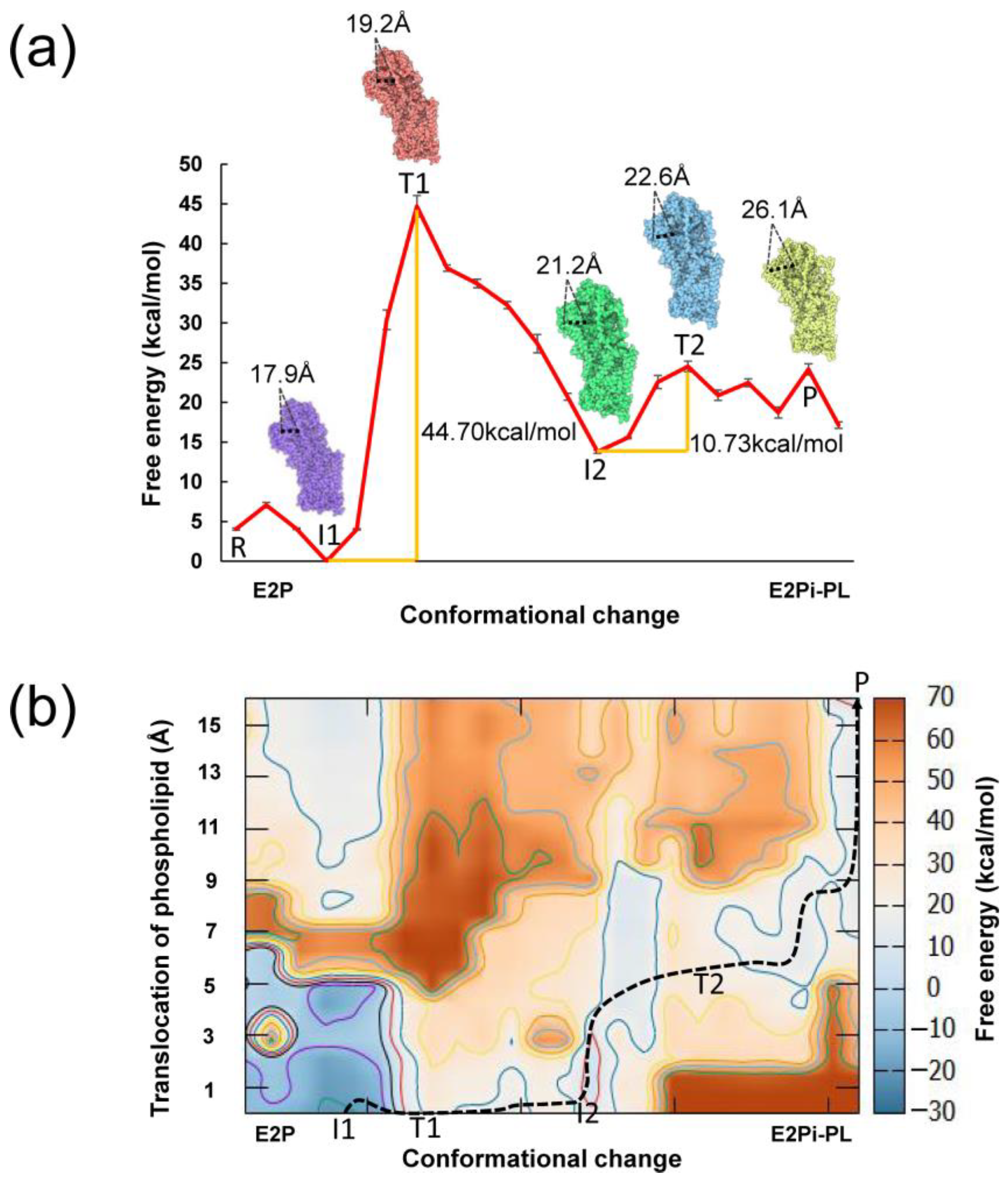 Biomedicines 11 00546 g002