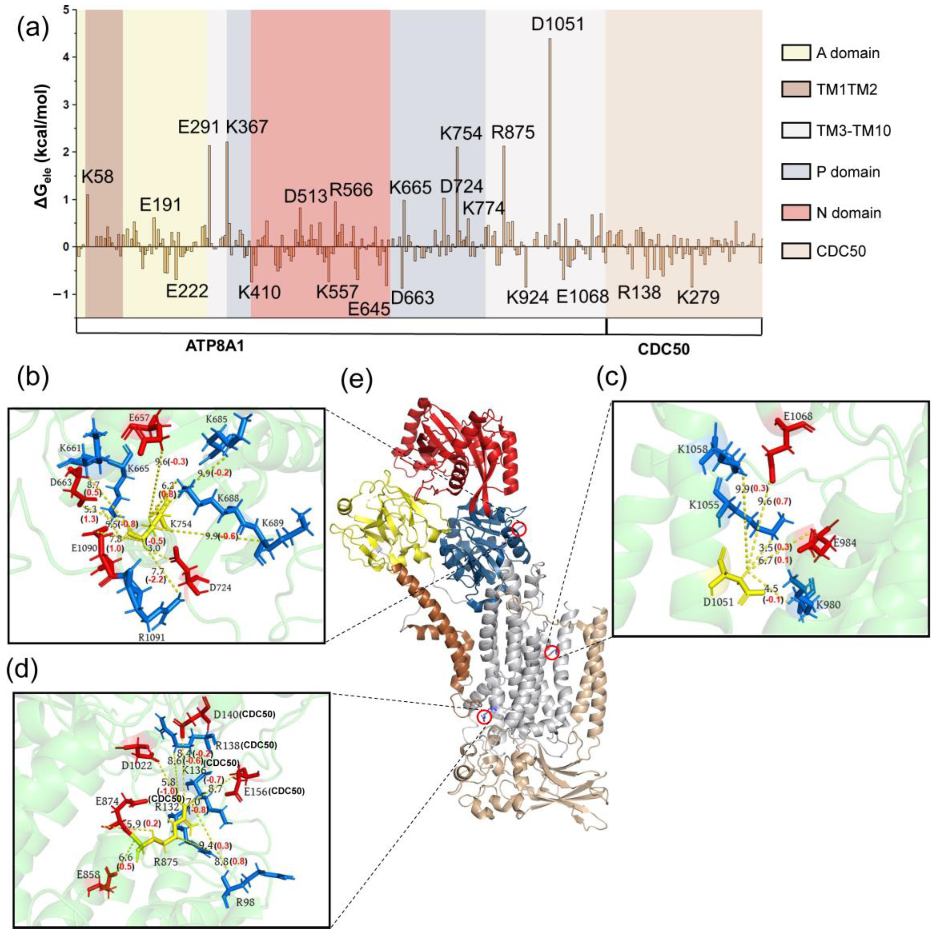 Biomedicines 11 00546 g003