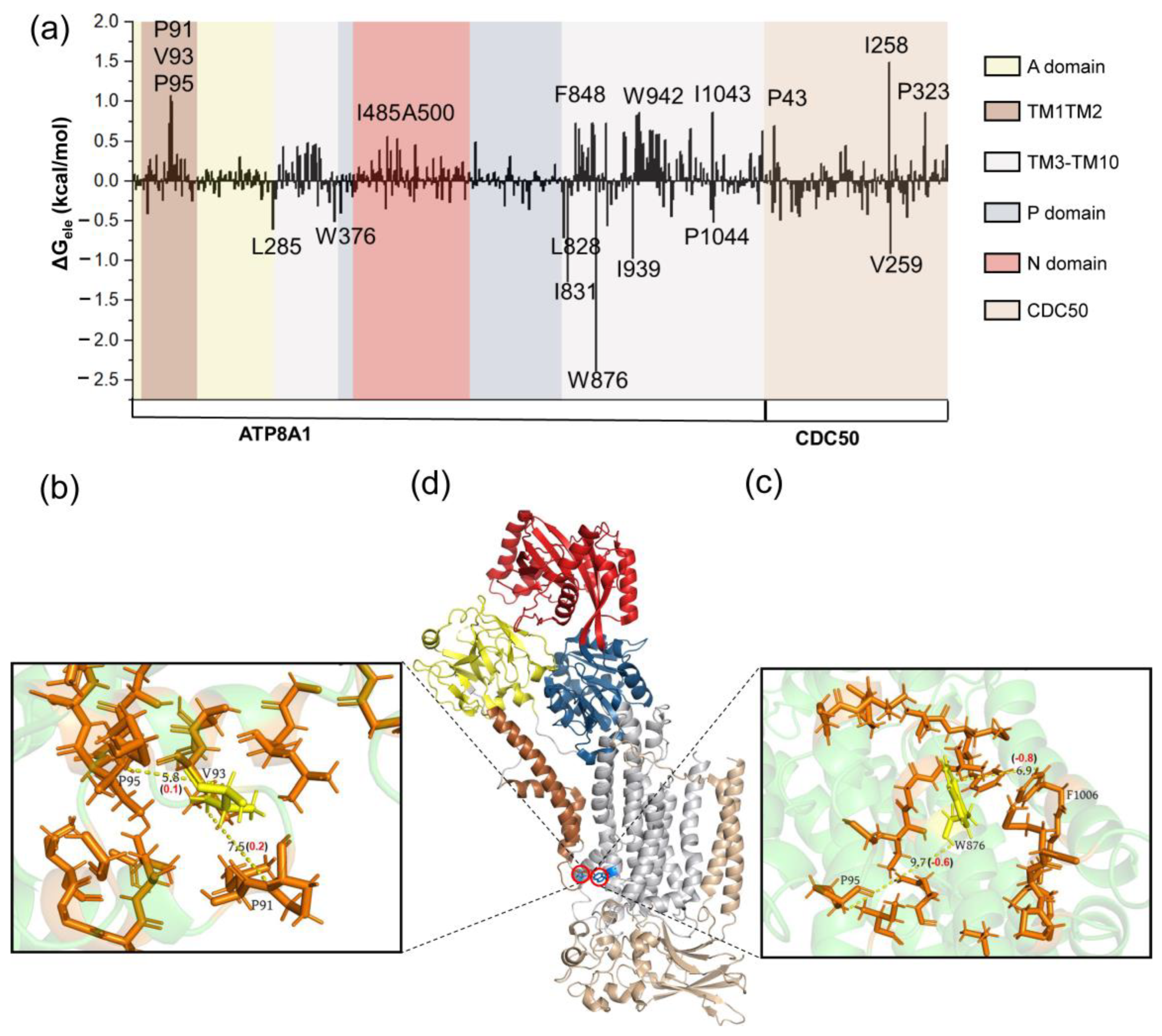 Biomedicines 11 00546 g004