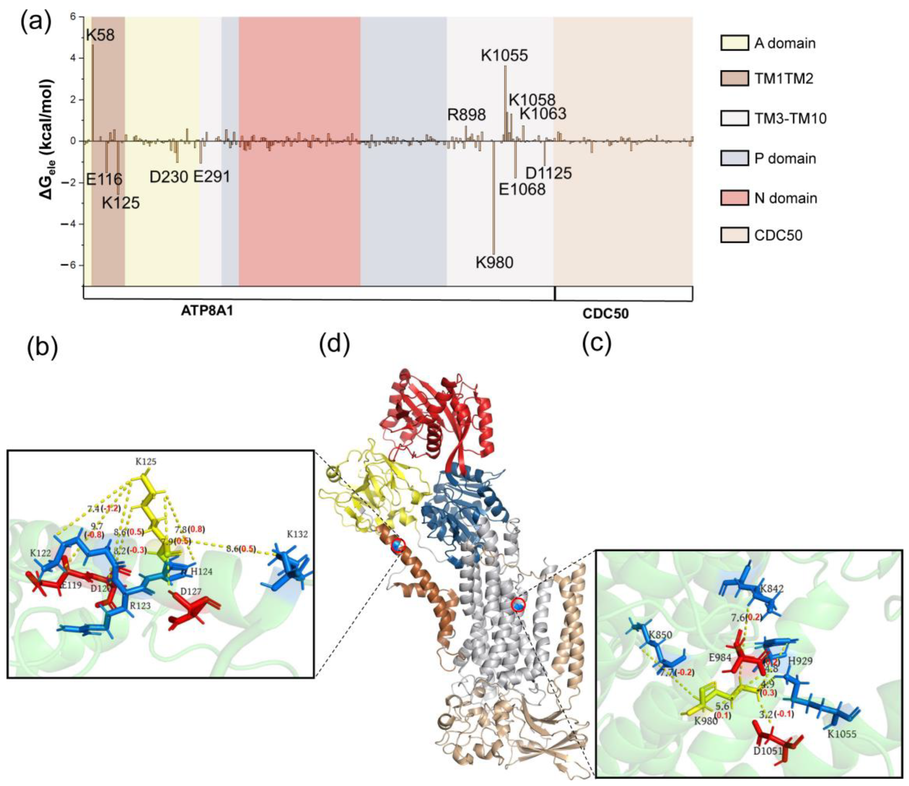 Biomedicines 11 00546 g006