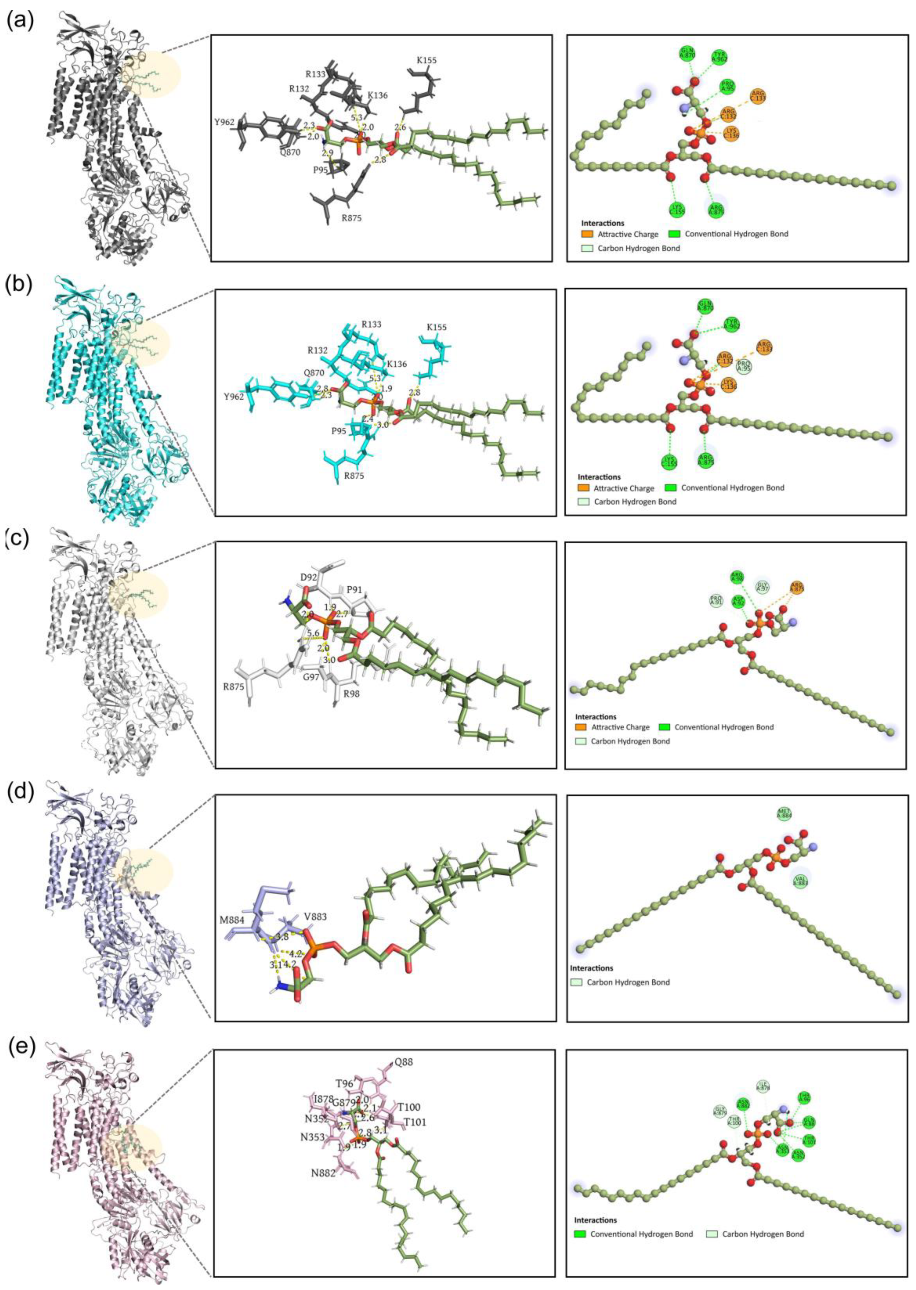 Biomedicines 11 00546 g007