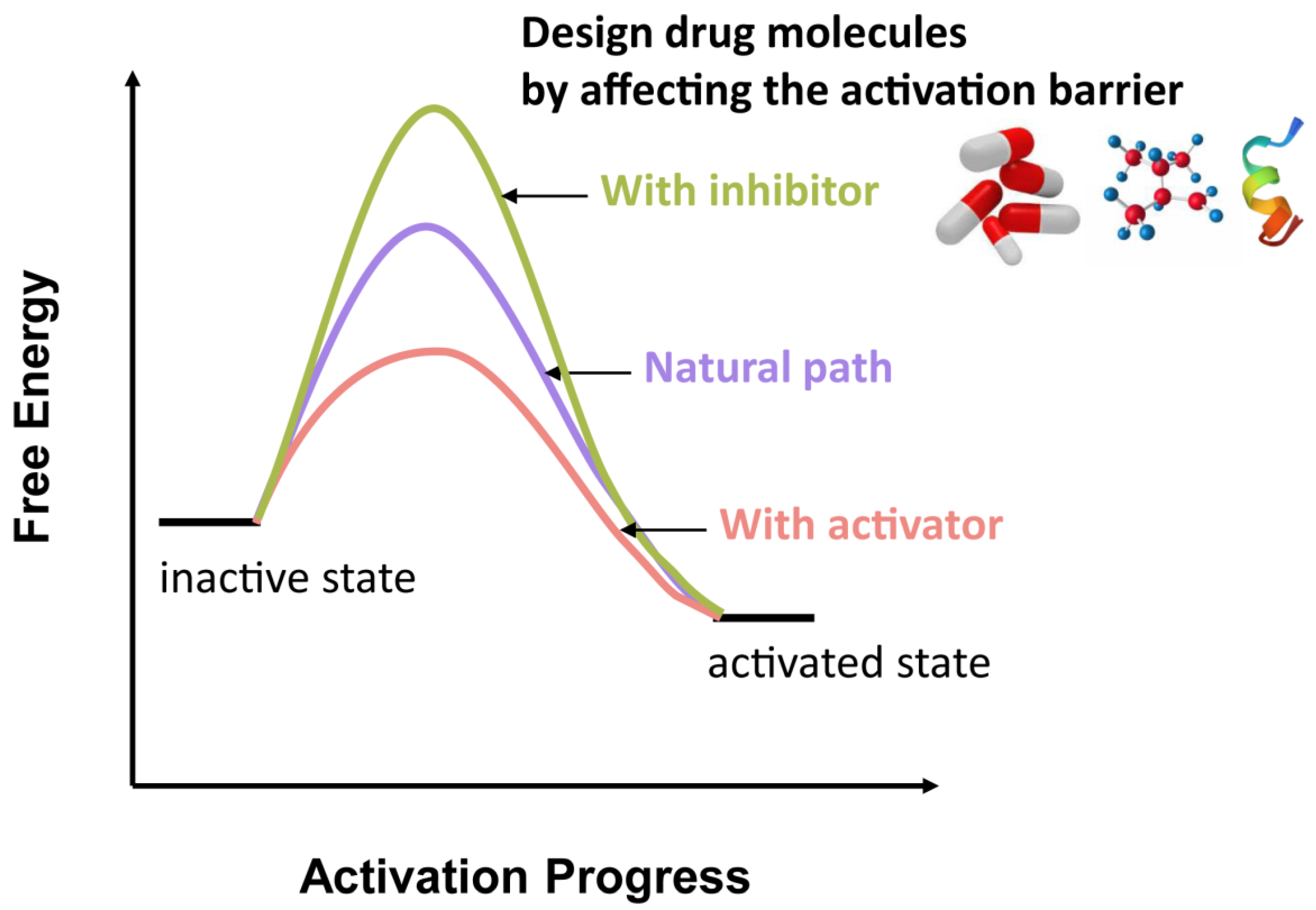 Biomedicines 11 00546 g008