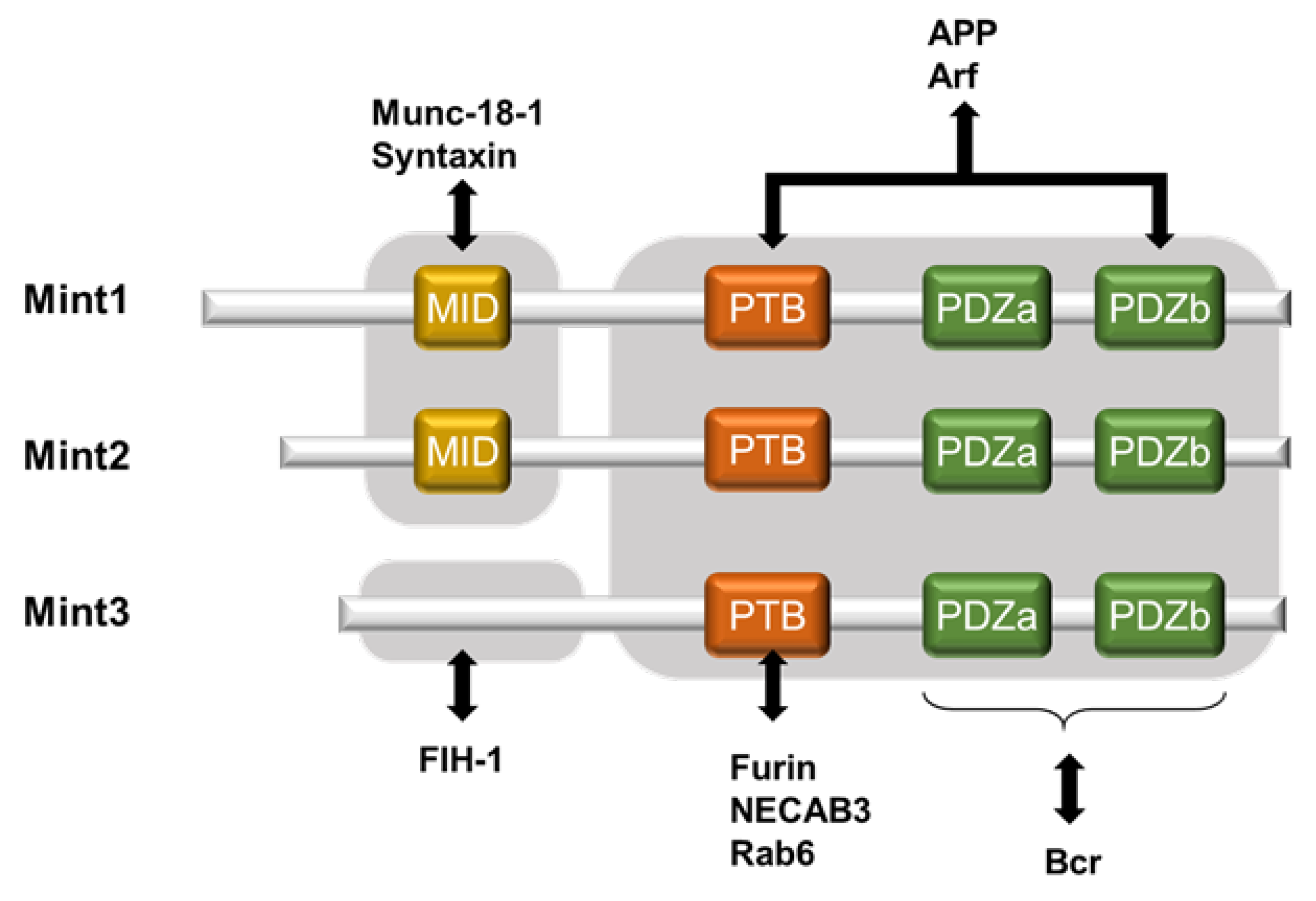 Biomedicines 11 00549 g001 Biomedicines 11 00549 g001