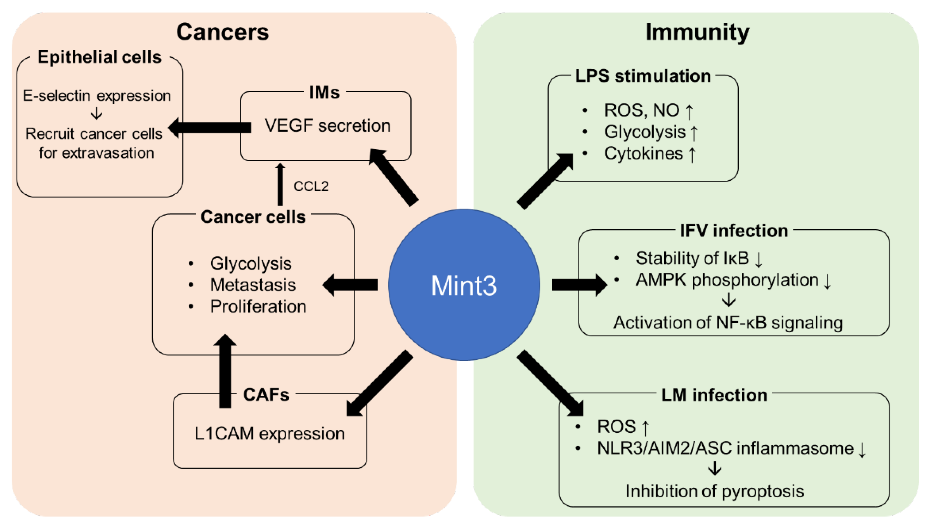 Biomedicines 11 00549 g003 Biomedicines 11 00549 g003
