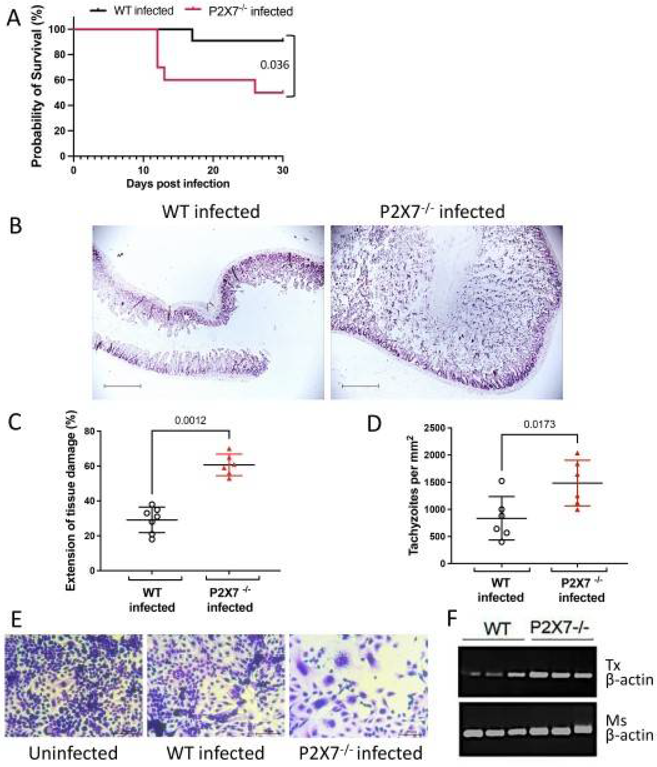 Biomedicines 11 00555 g002 Biomedicines 11 00555 g002
