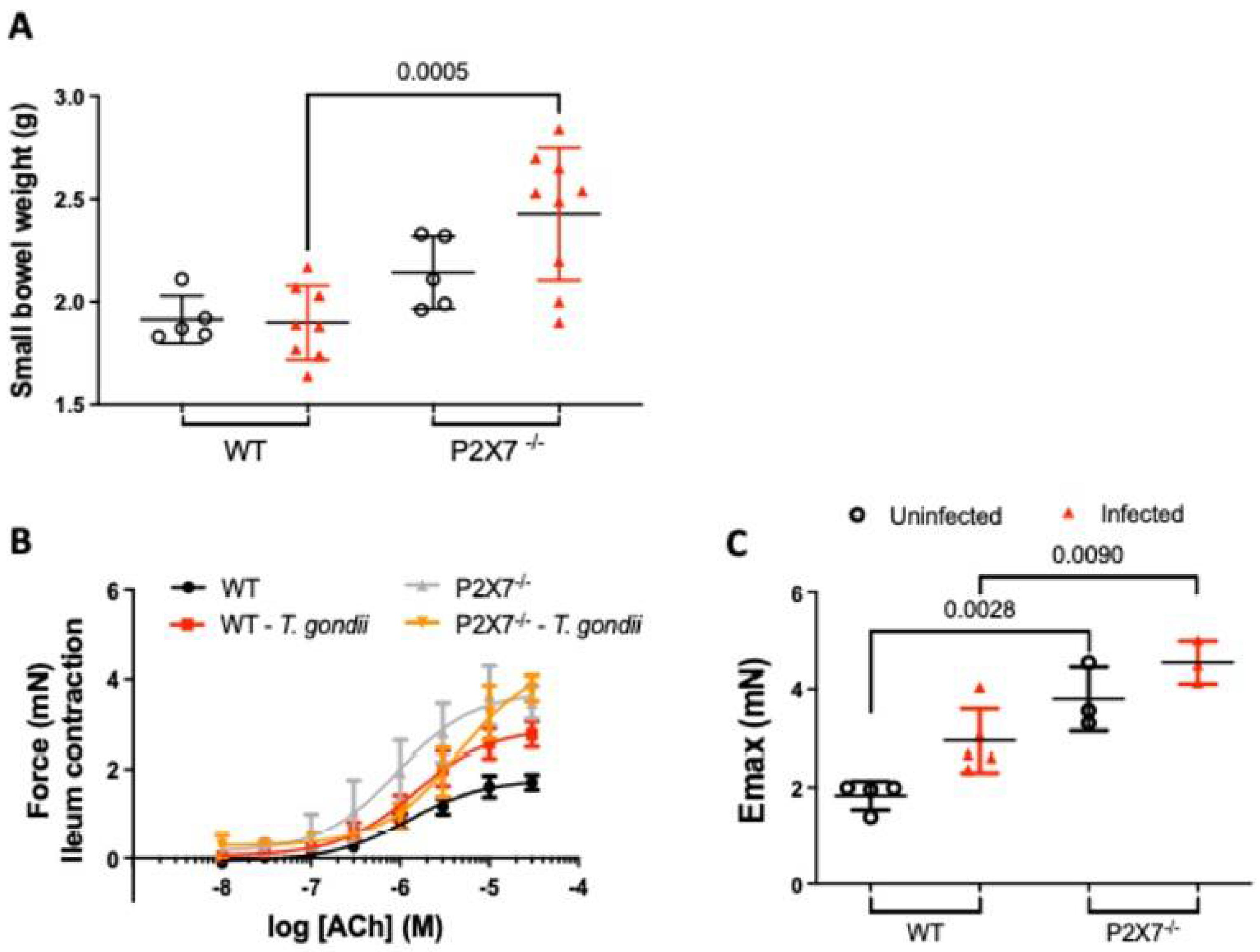 Biomedicines 11 00555 g004 Biomedicines 11 00555 g004