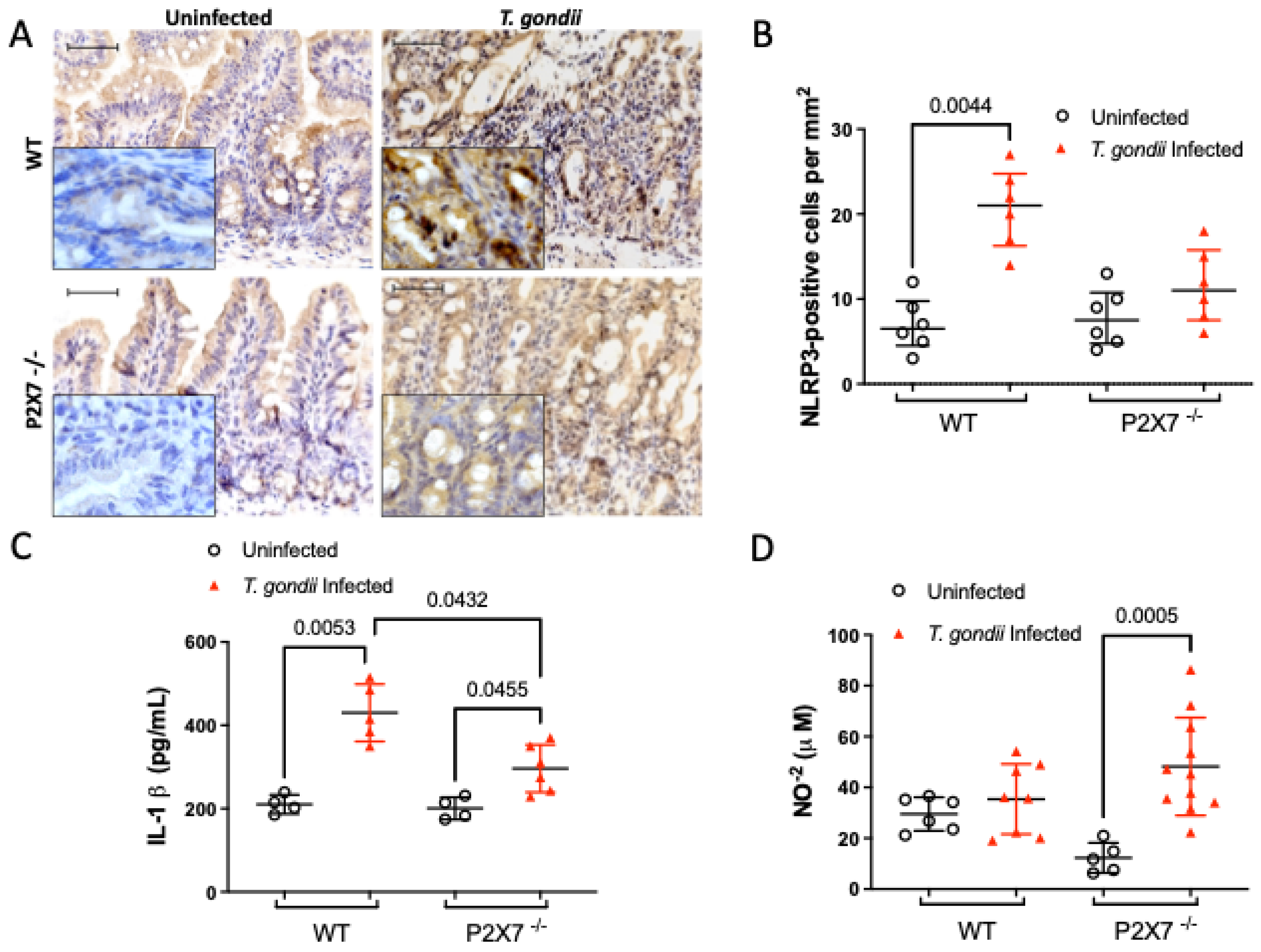 Biomedicines 11 00555 g006 Biomedicines 11 00555 g006