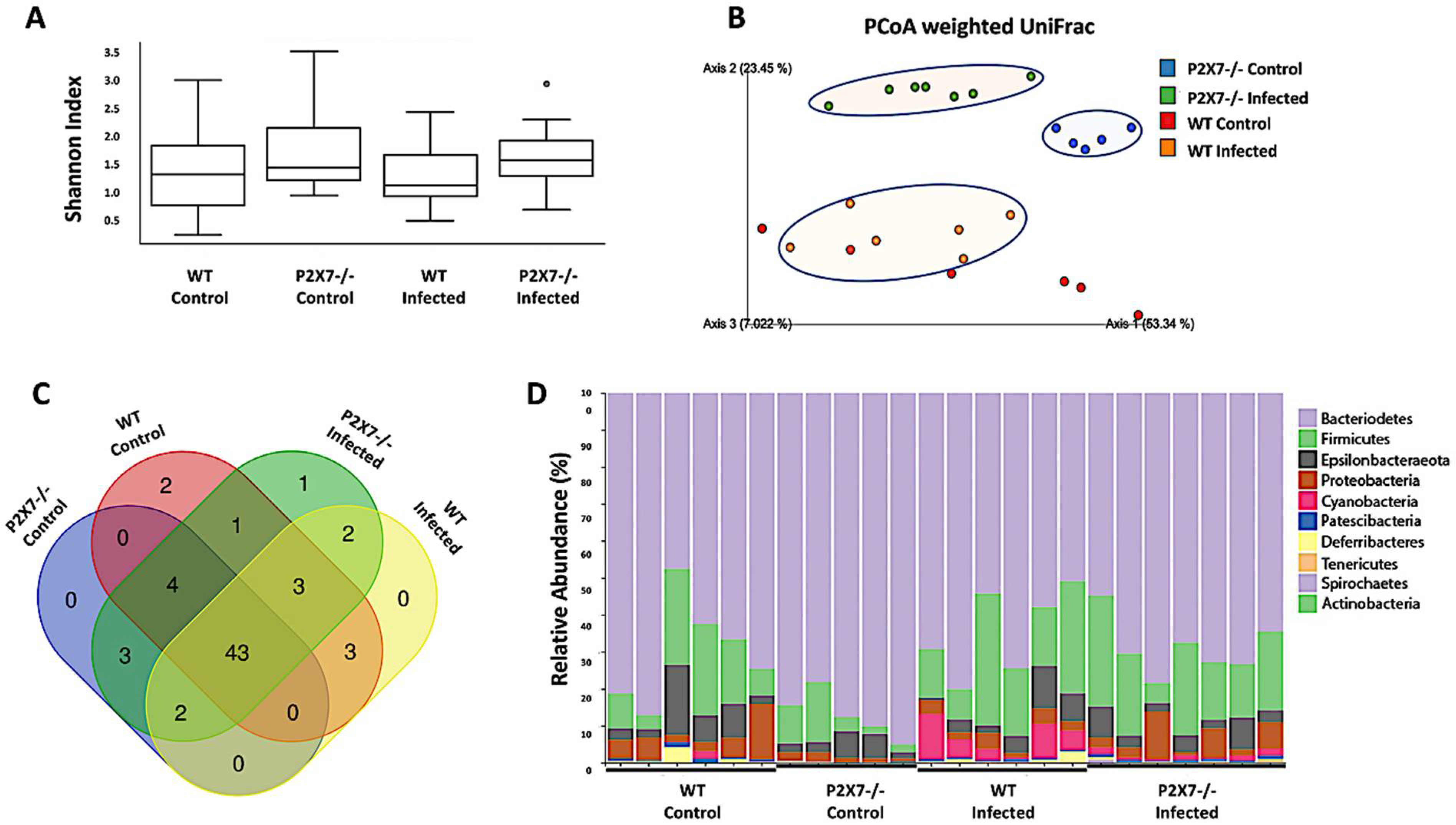 Biomedicines 11 00555 g007 Biomedicines 11 00555 g007