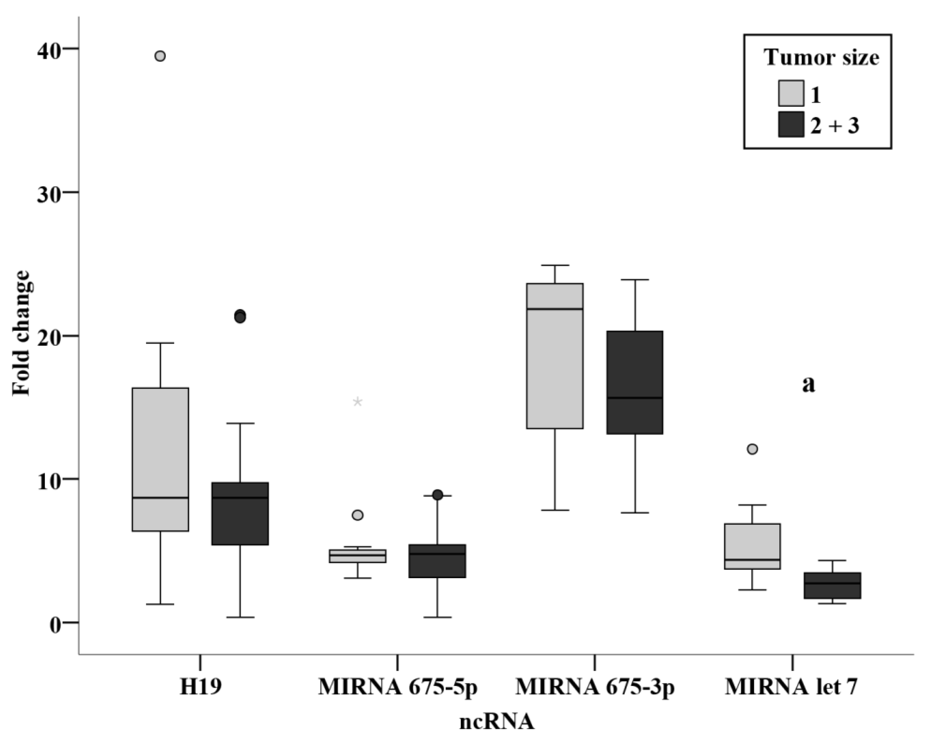 Biomedicines 11 00563 g011 Biomedicines 11 00563 g011