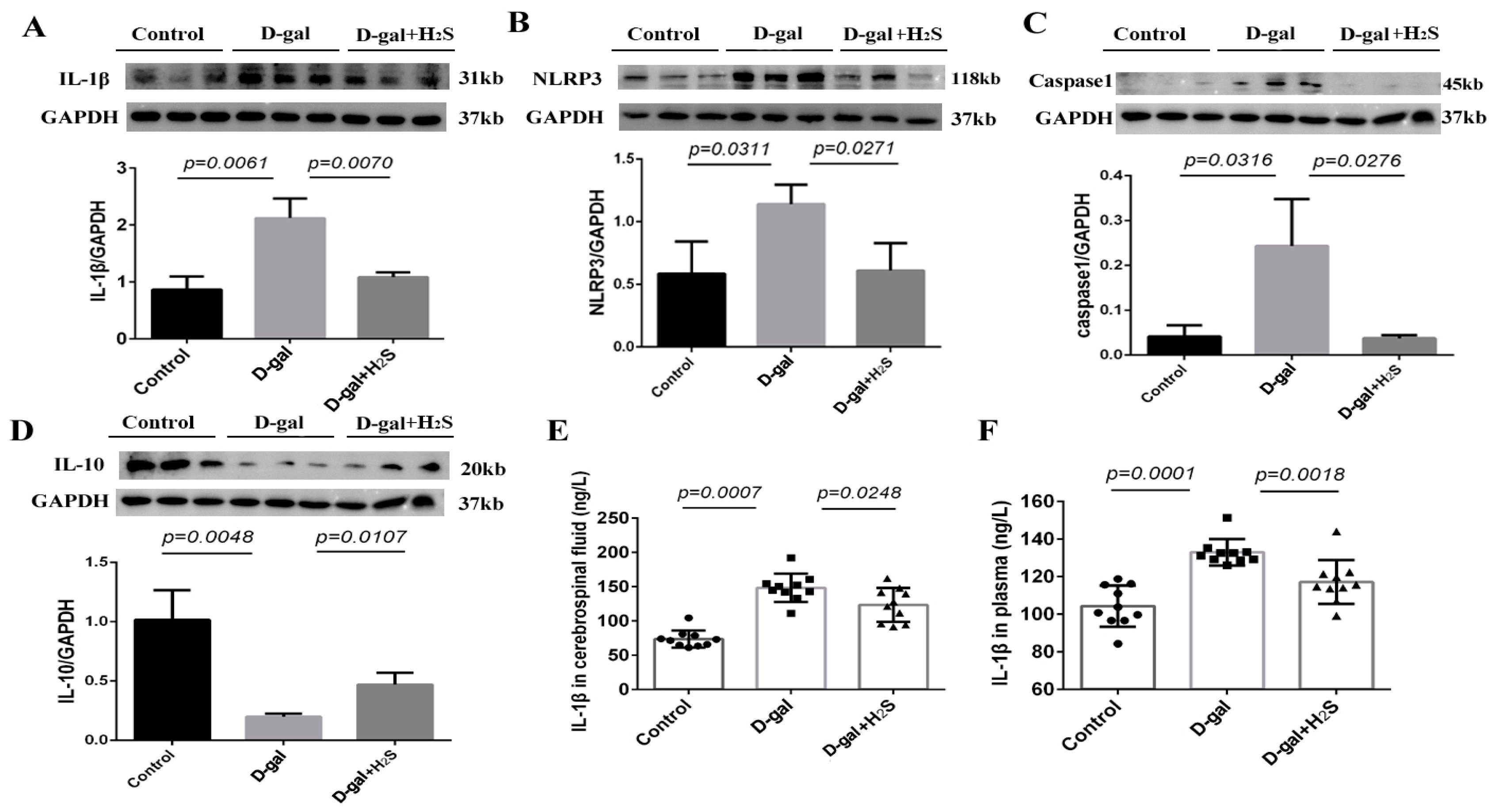 Biomedicines 11 00566 g005