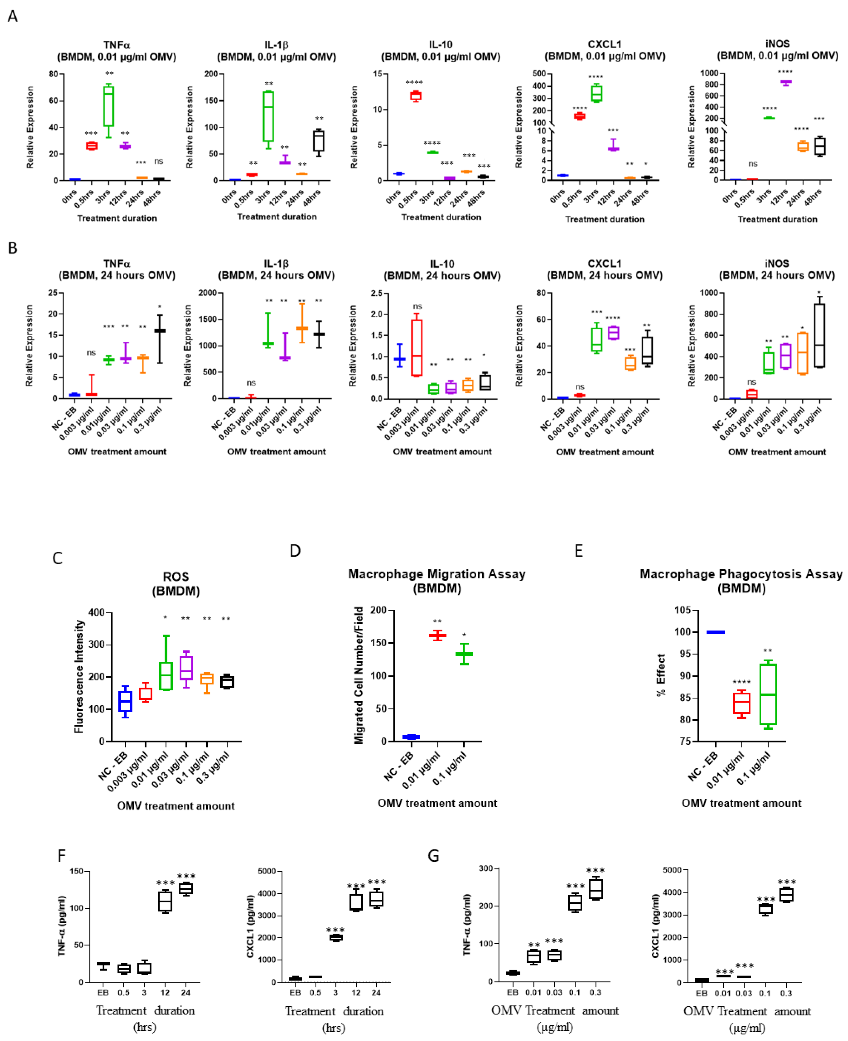 Biomedicines 11 00568 g002 Biomedicines 11 00568 g002