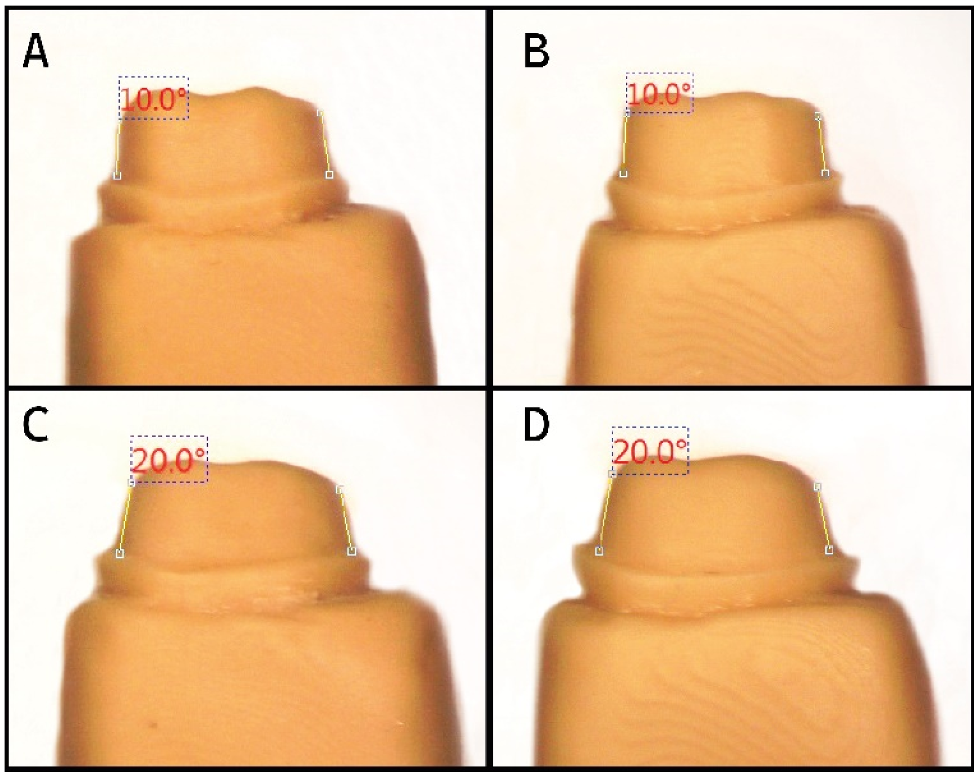 Biomedicines 11 00570 g002