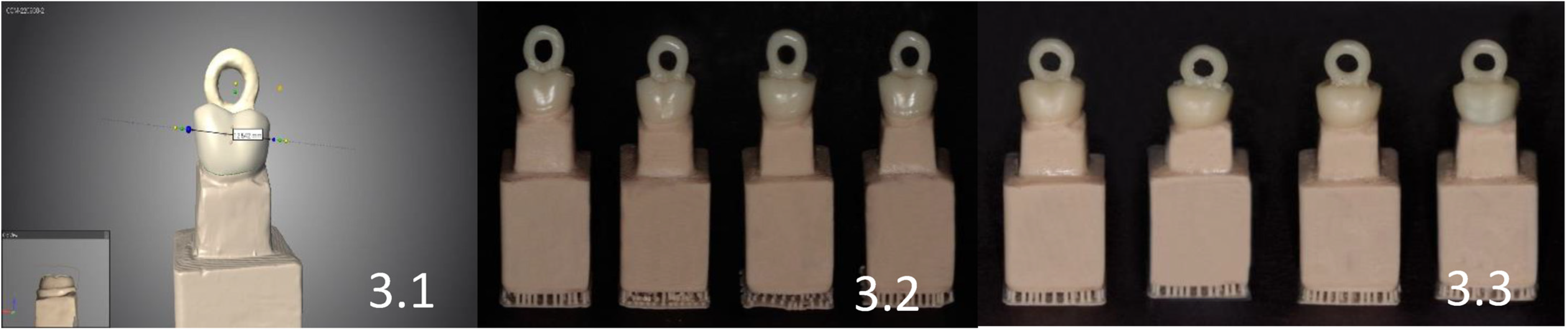 Biomedicines 11 00570 g003