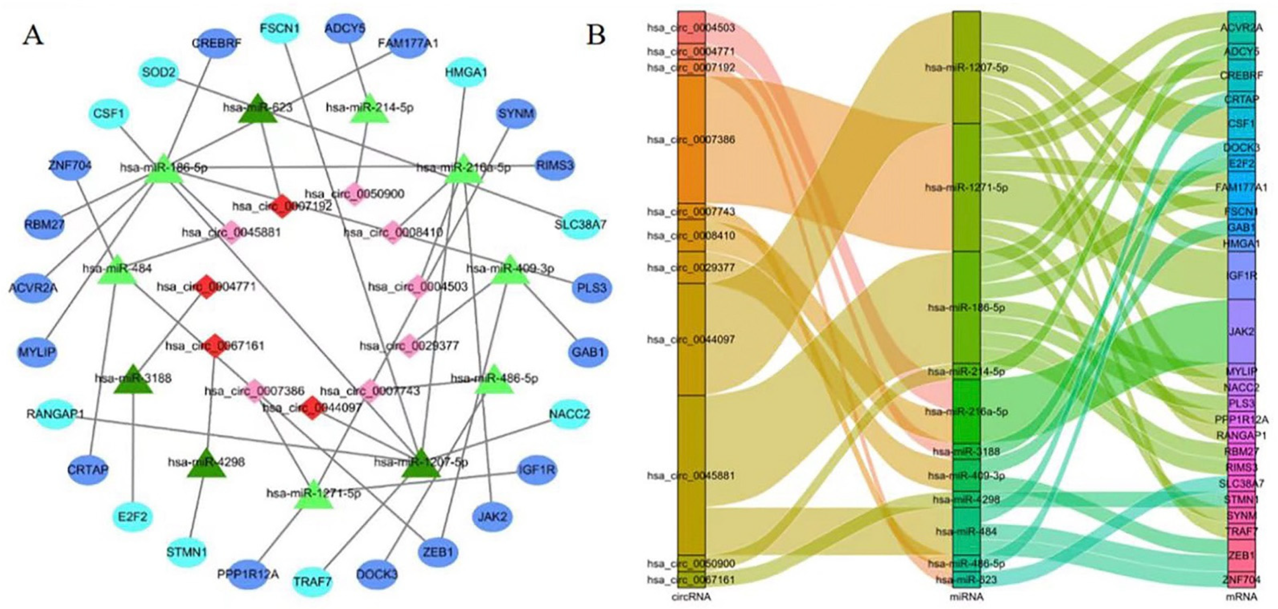Biomedicines 11 00571 g003 Biomedicines 11 00571 g003