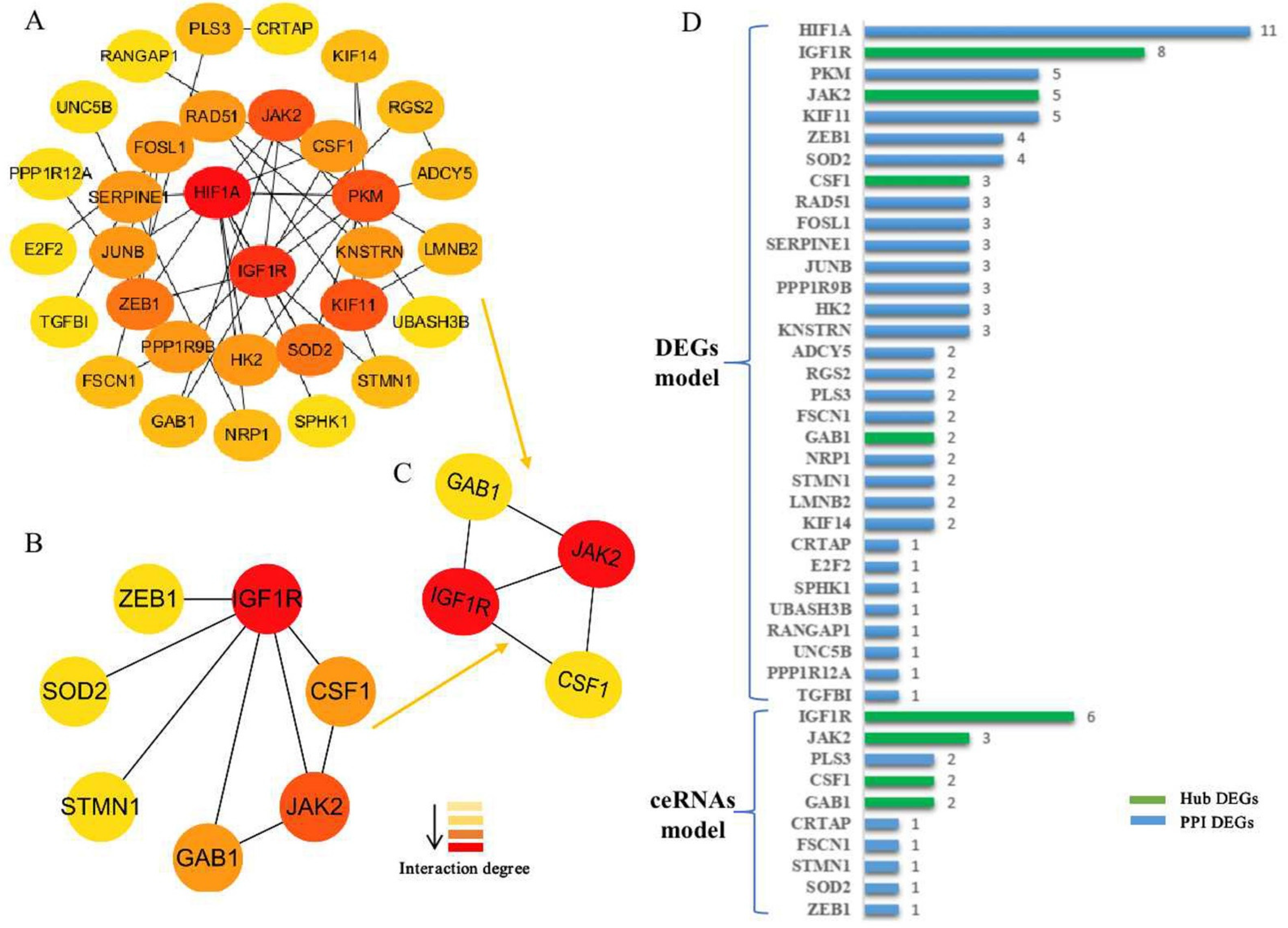 Biomedicines 11 00571 g004 Biomedicines 11 00571 g004